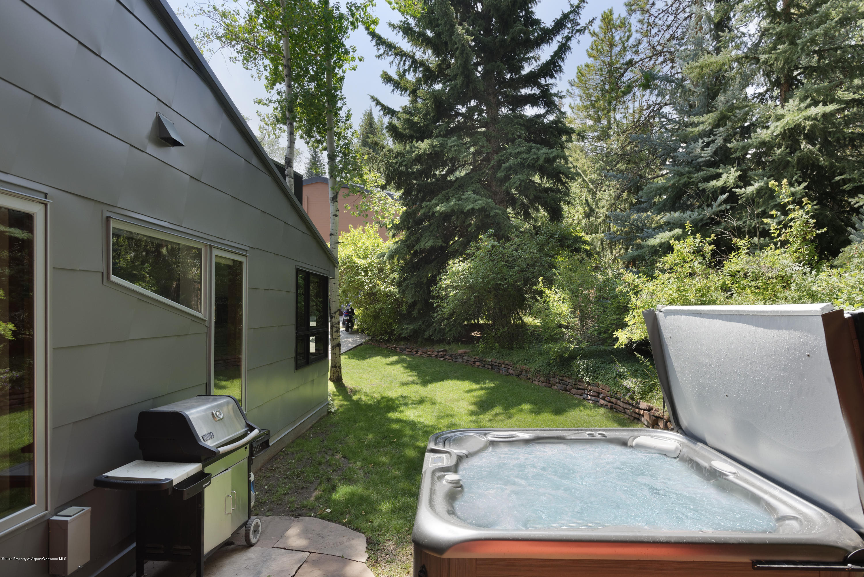 411 W Francis Street Aspen CO 81611