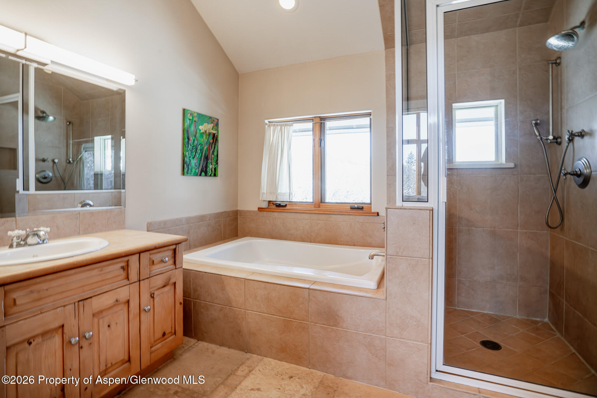 2310 Juniper Hill Drive Aspen CO 81611