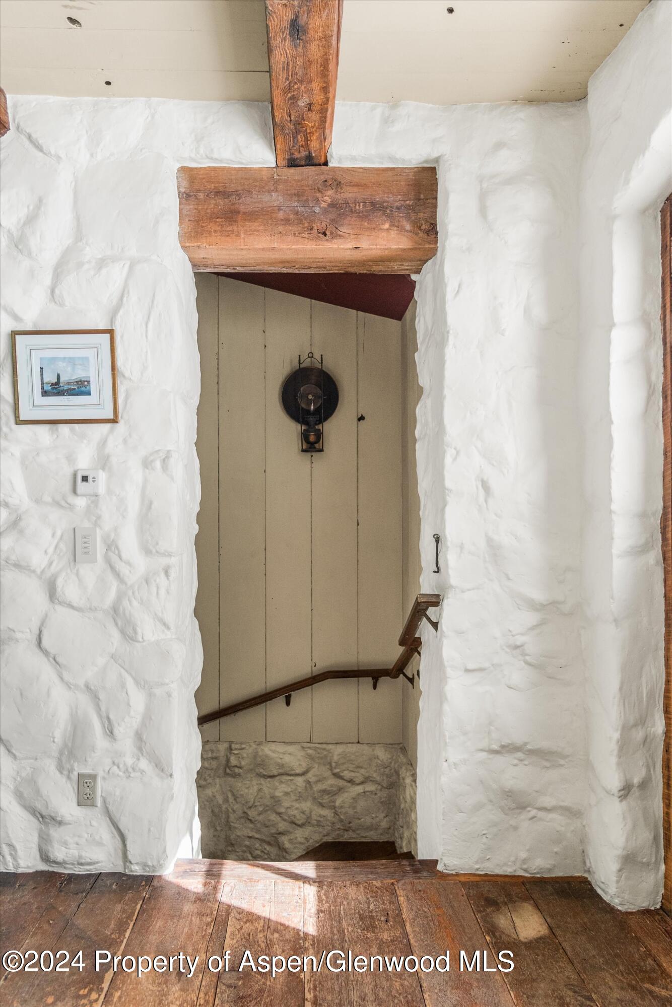 855 Moore Drive Aspen CO 81611