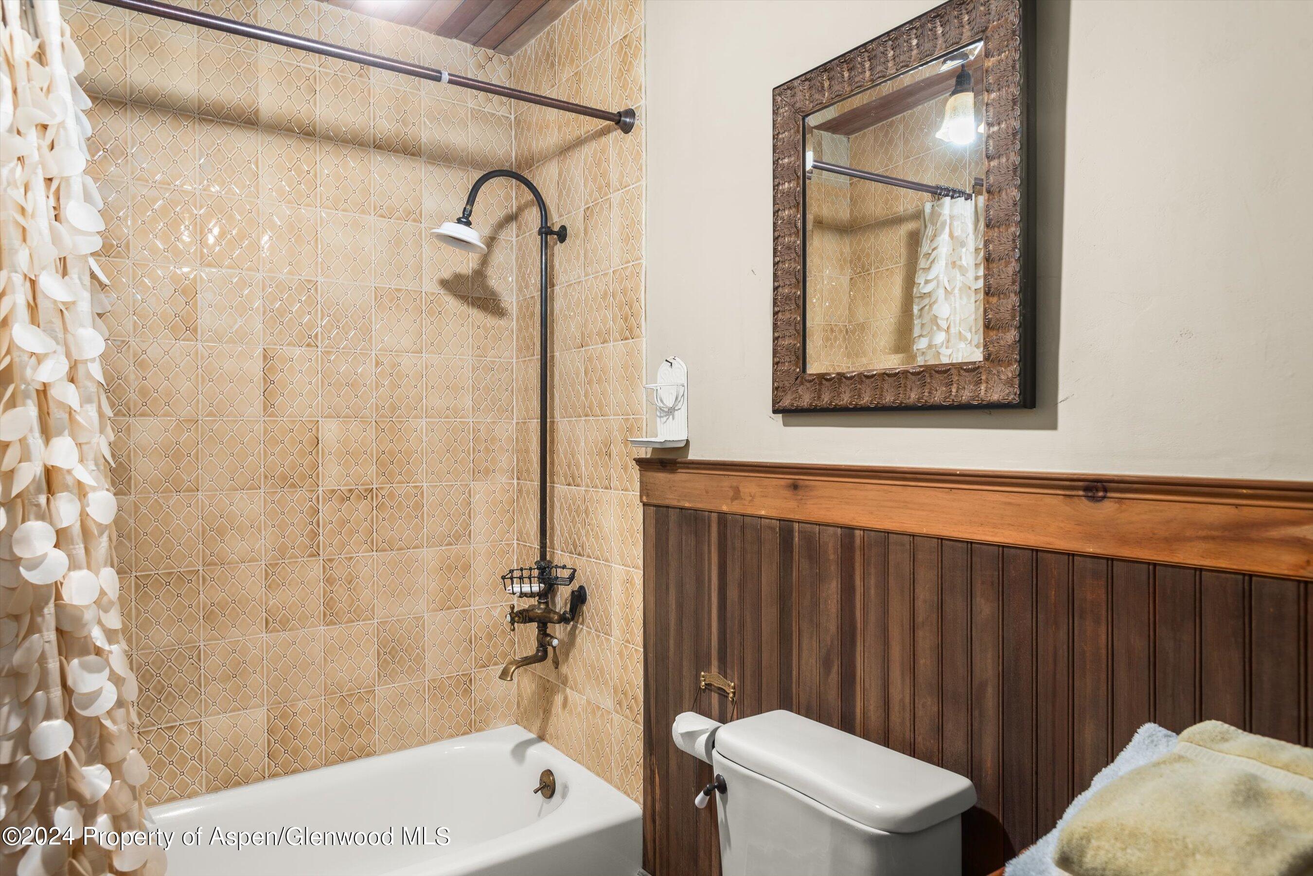 855 Moore Drive Aspen CO 81611