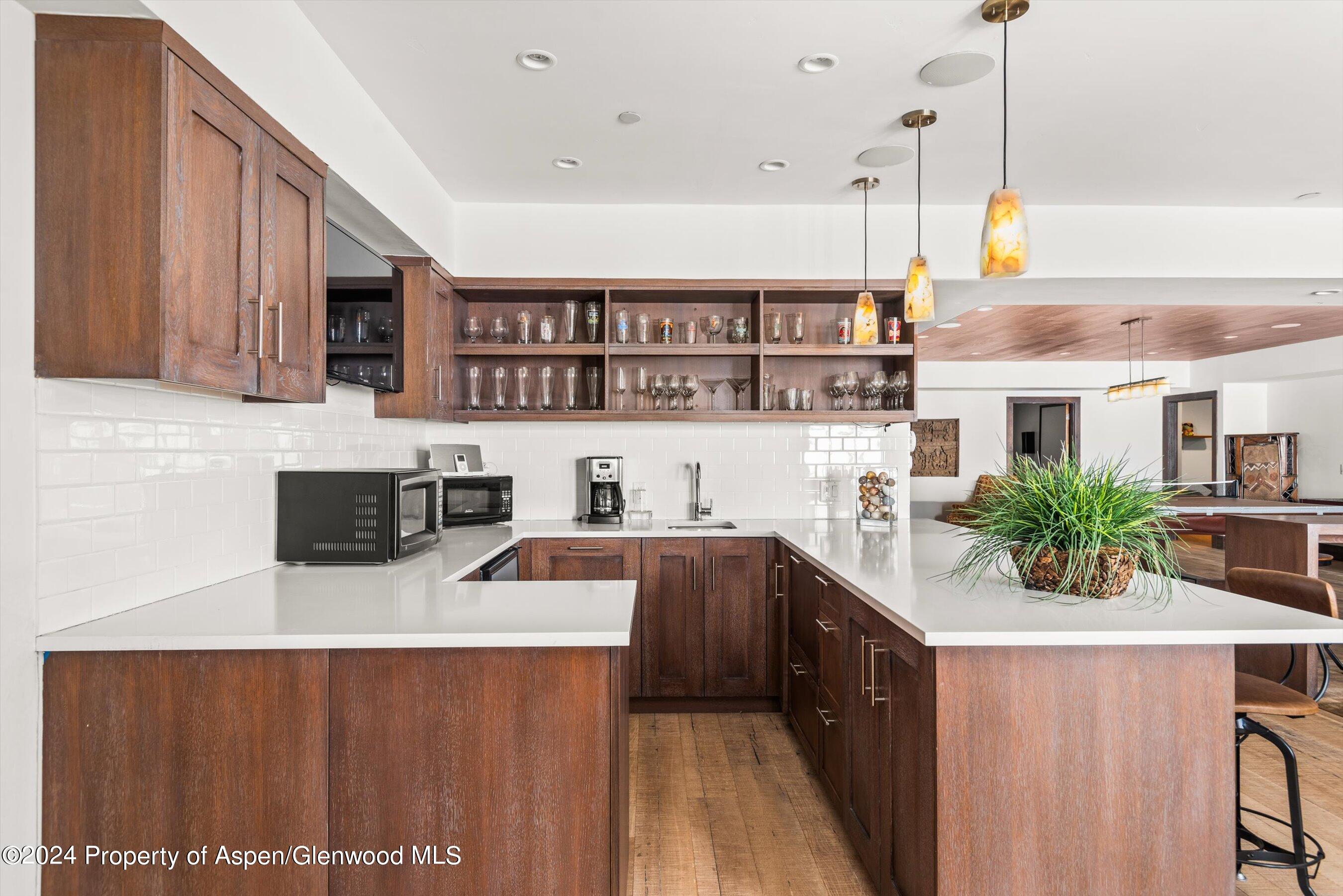 855 Moore Drive Aspen CO 81611