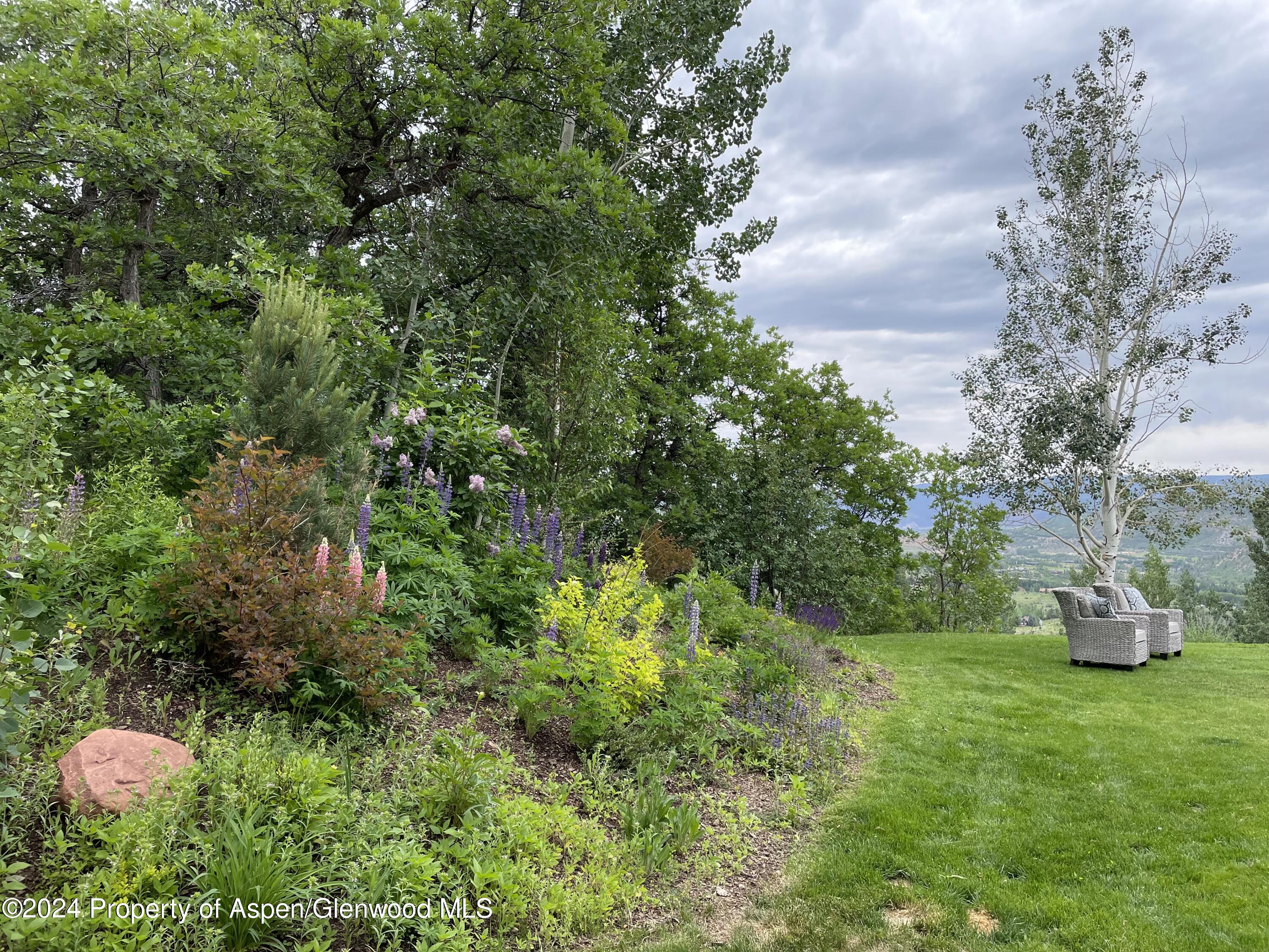 855 Moore Drive Aspen CO 81611