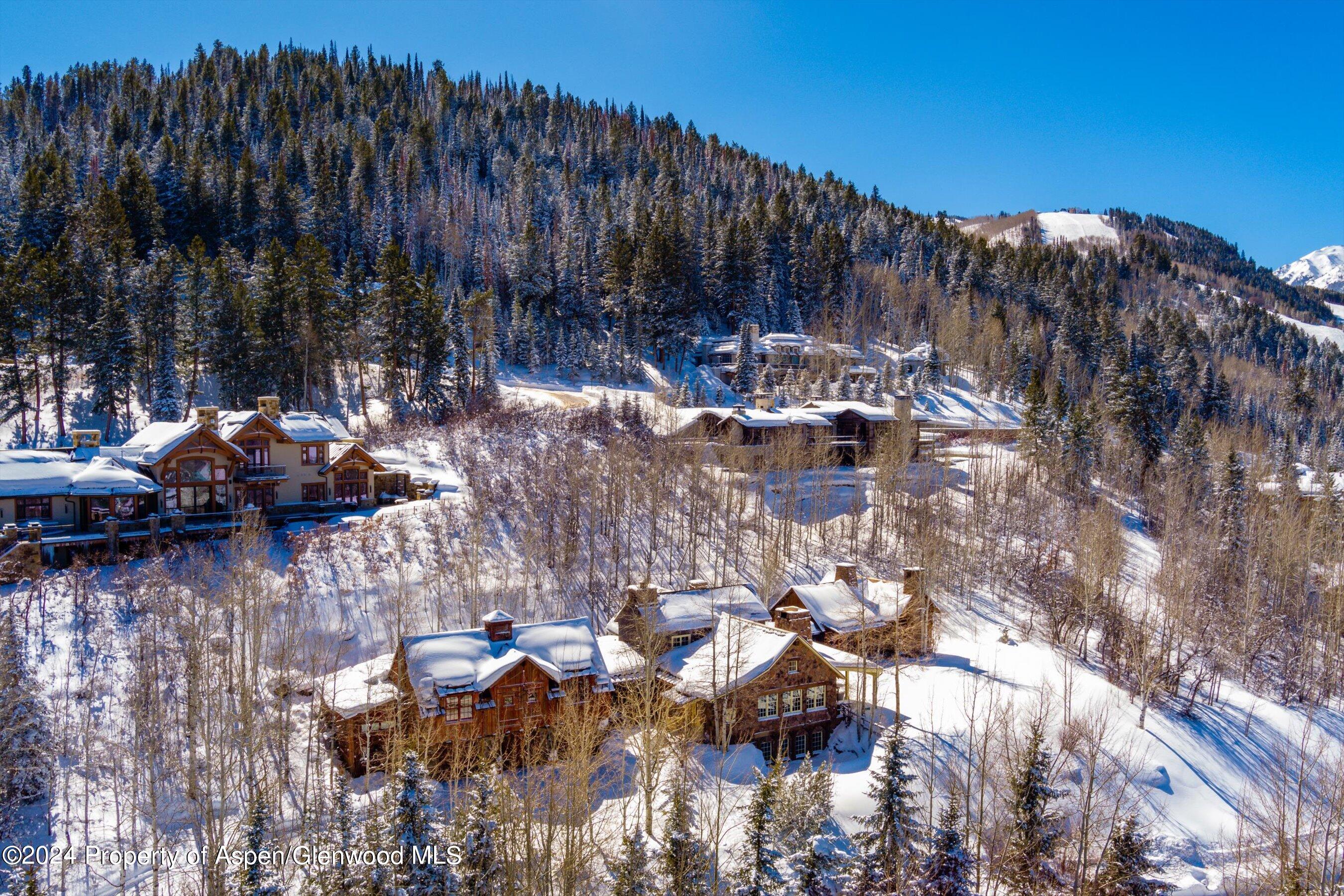 855 Moore Drive Aspen CO 81611