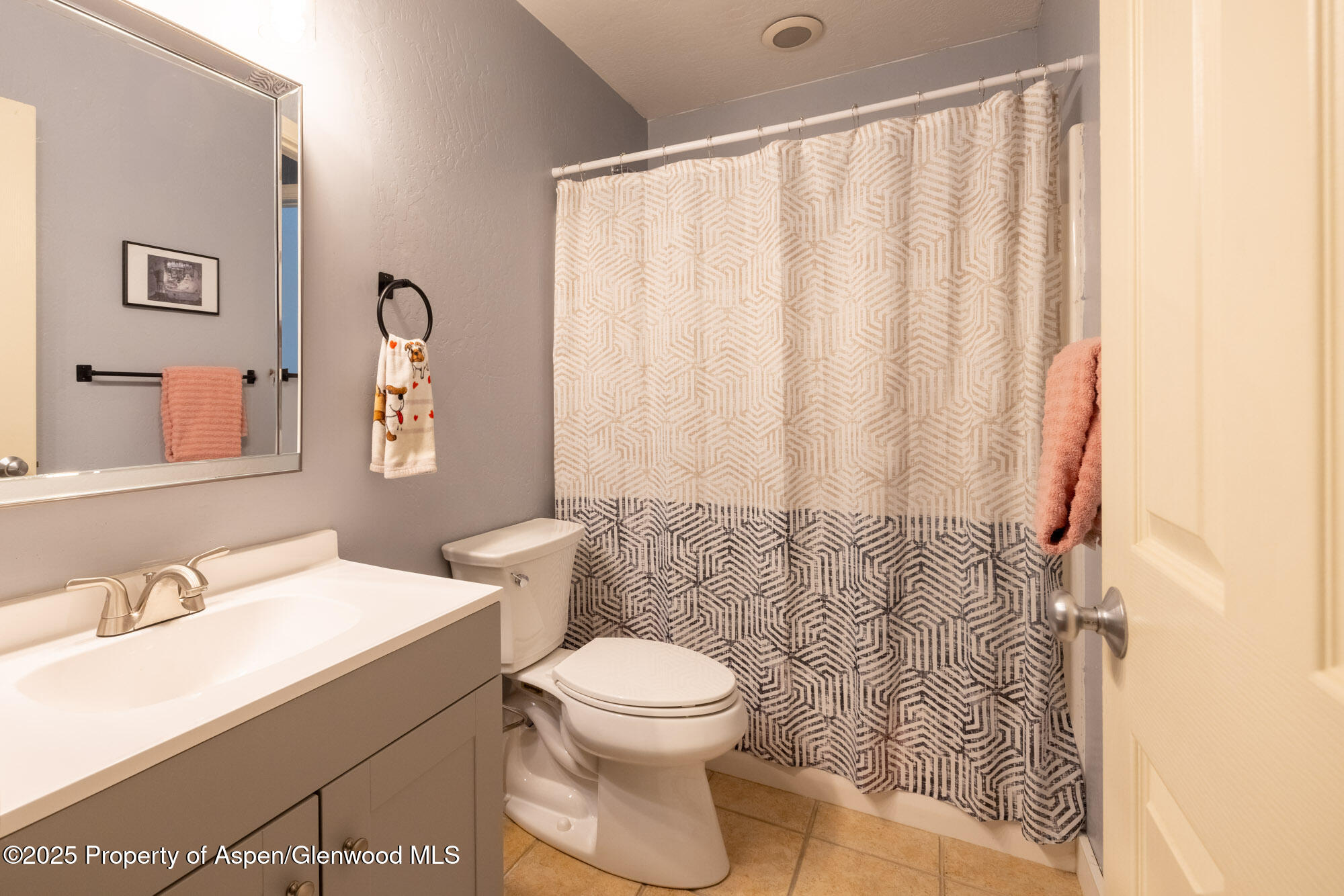 614 Lakeside Drive Basalt CO 81621