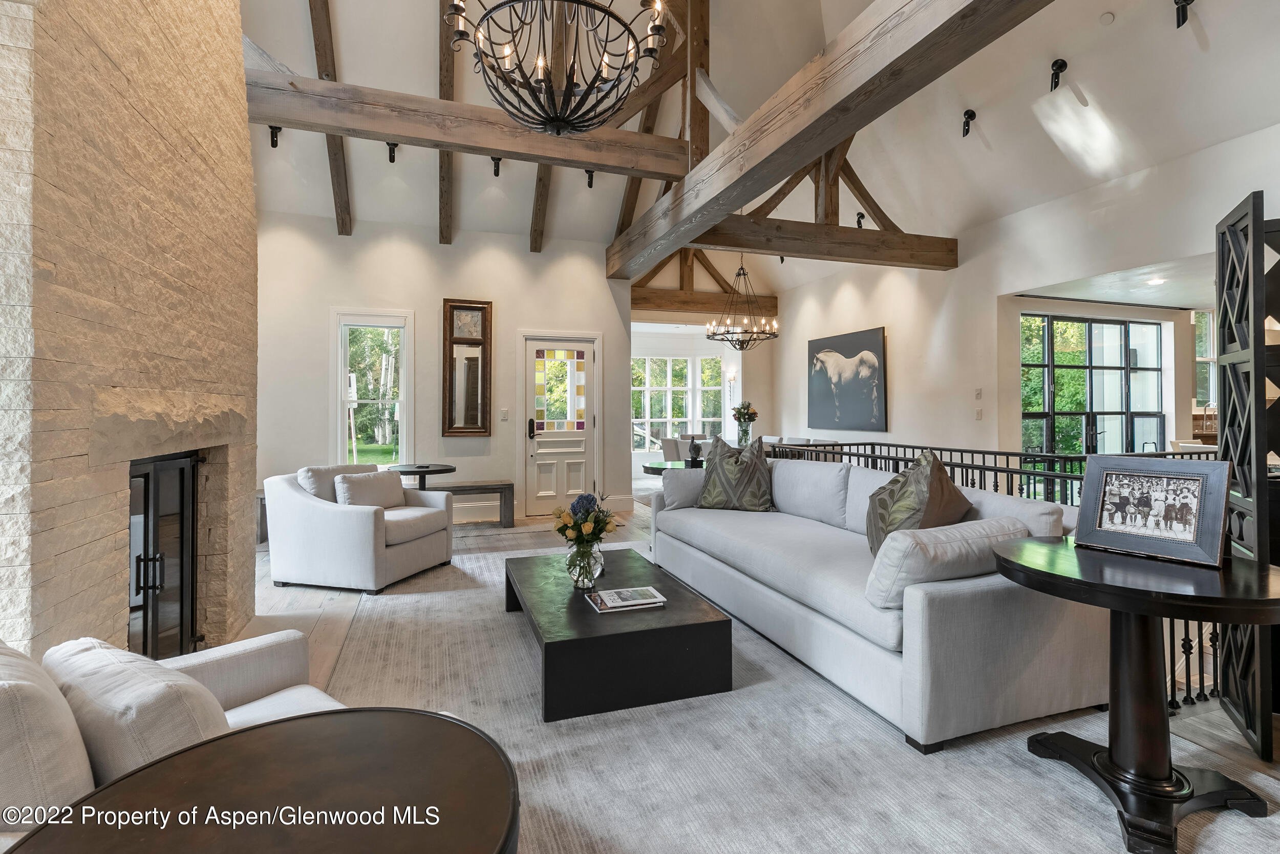 135 W Hopkins Avenue Aspen CO 81611