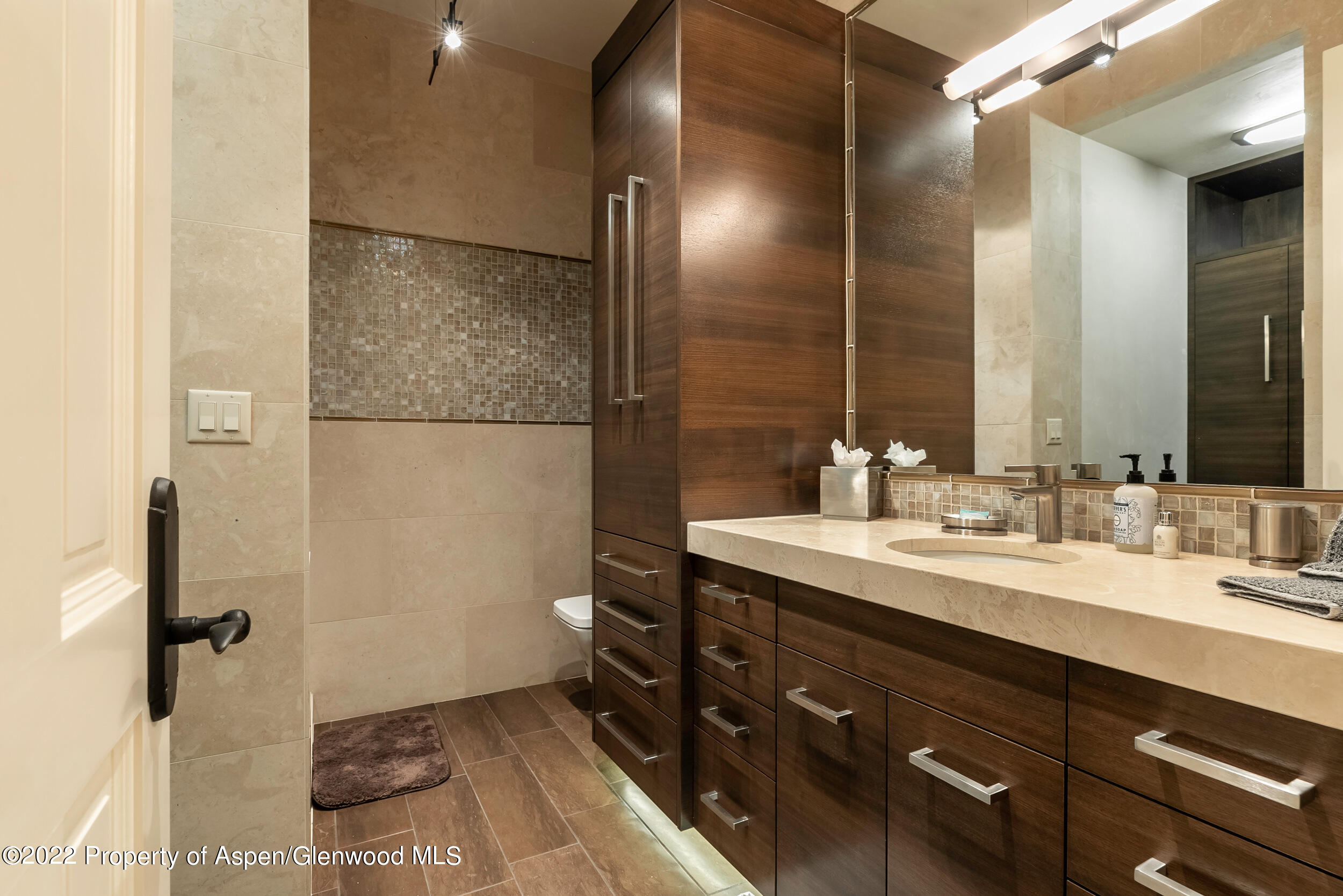 135 W Hopkins Avenue Aspen CO 81611