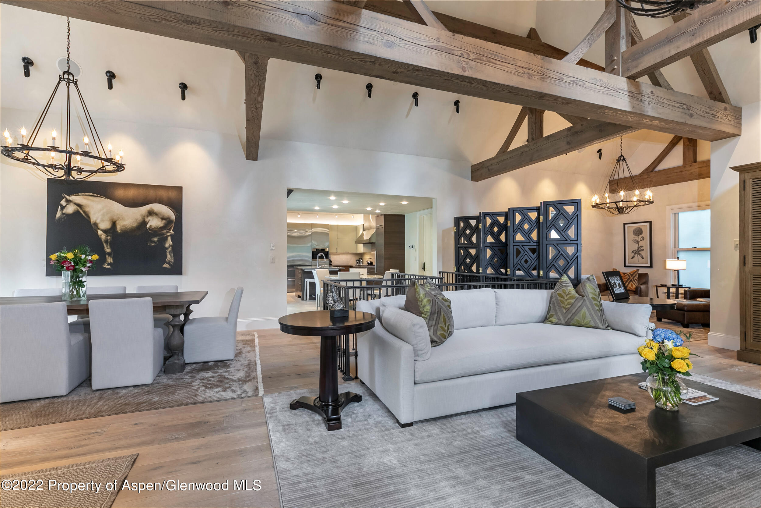 135 W Hopkins Avenue Aspen CO 81611