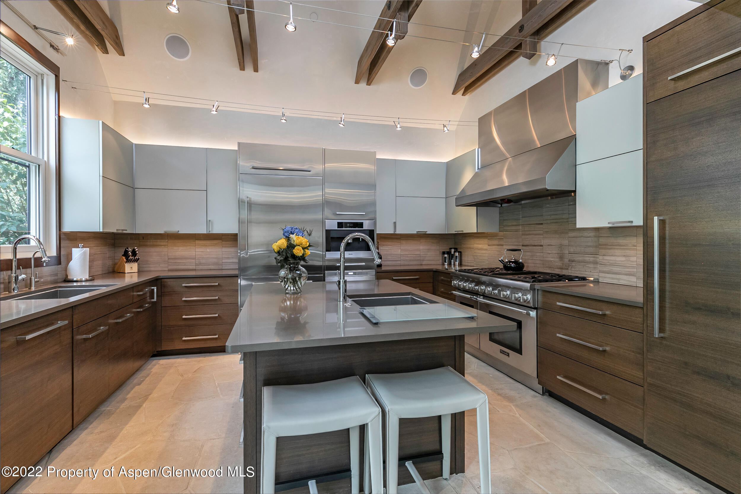 135 W Hopkins Avenue Aspen CO 81611