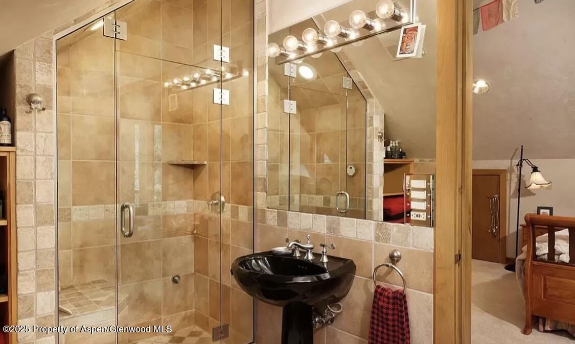 60 River Cove Court Basalt CO 81621