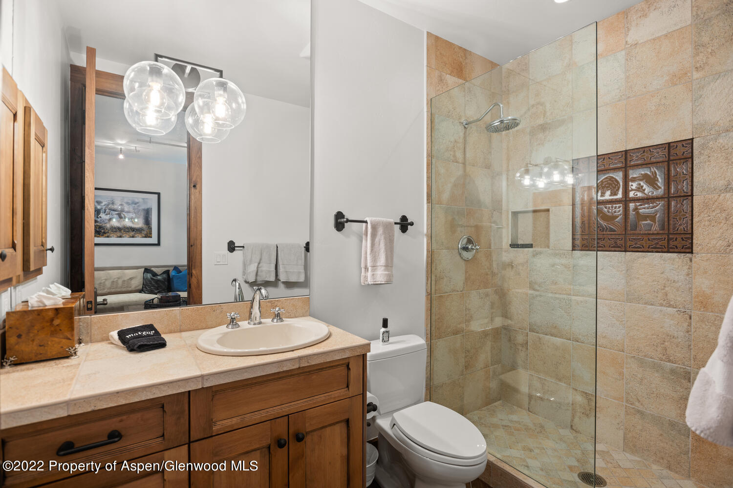 1350 Sierra Vista Drive Aspen CO 81611