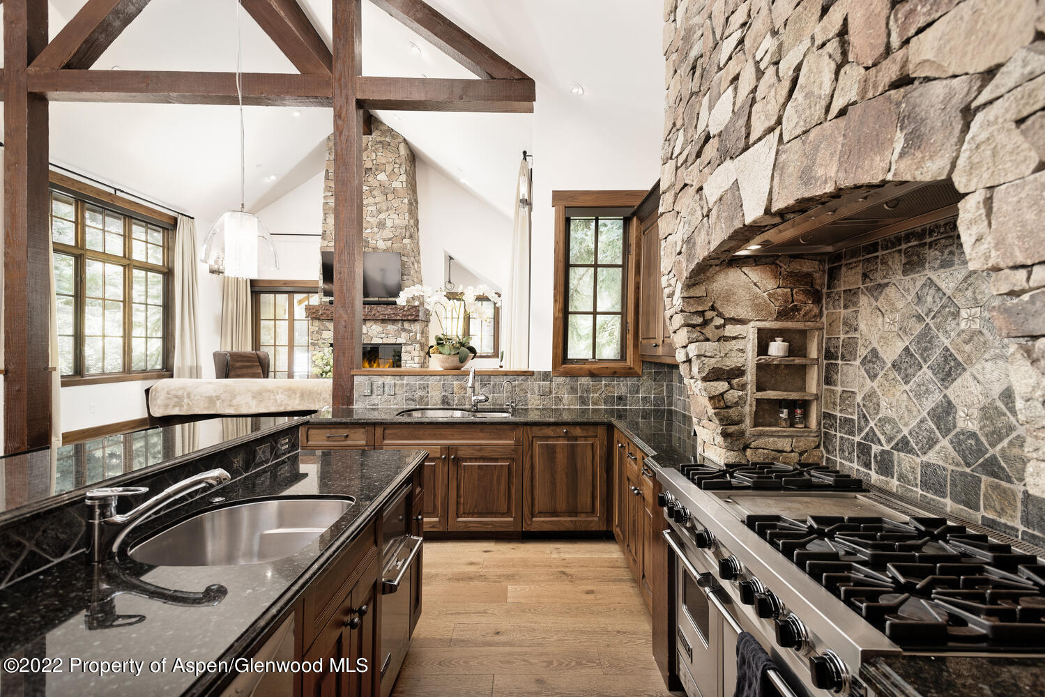 1350 Sierra Vista Drive Aspen CO 81611