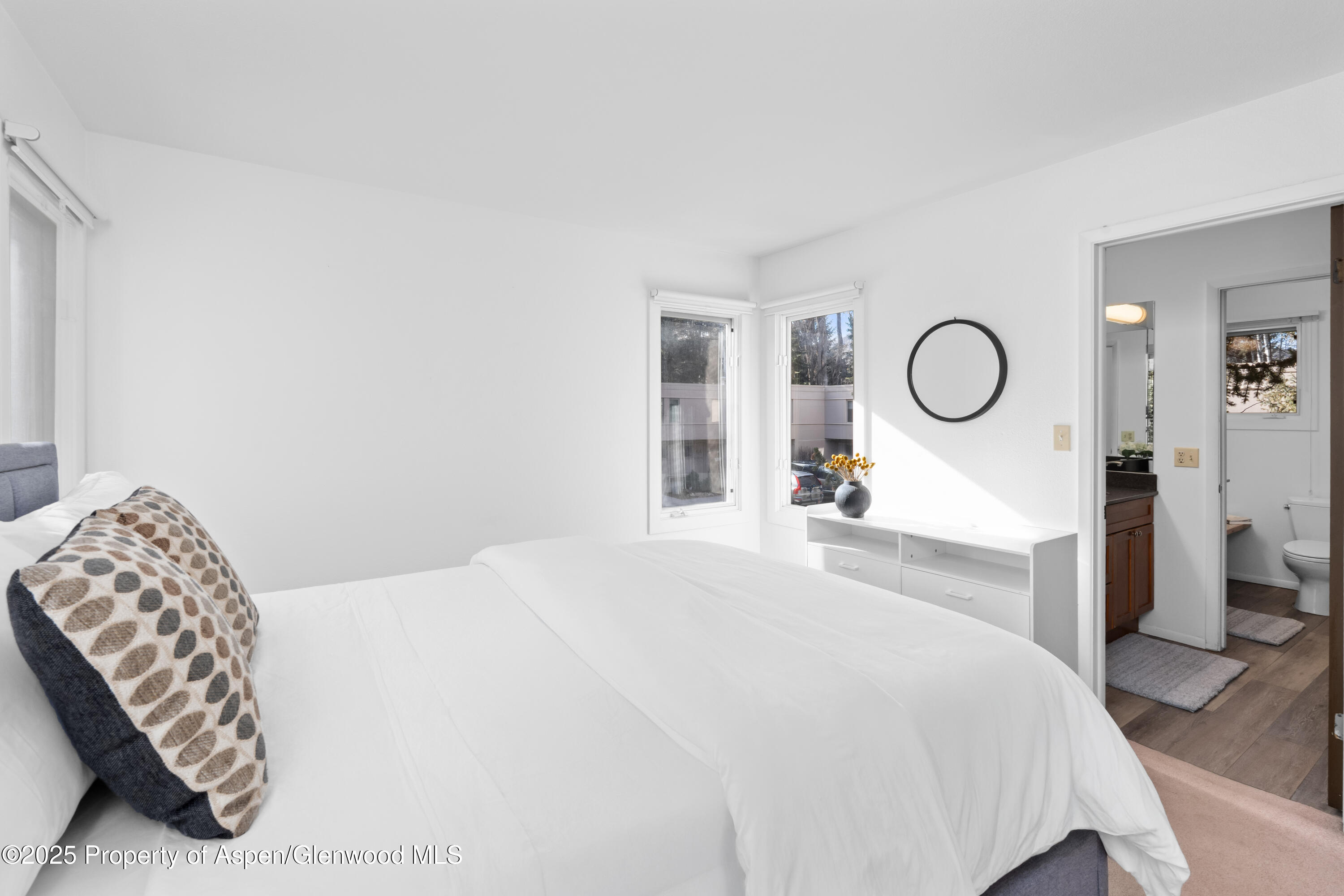 814 W Bleeker Street Aspen CO 81611