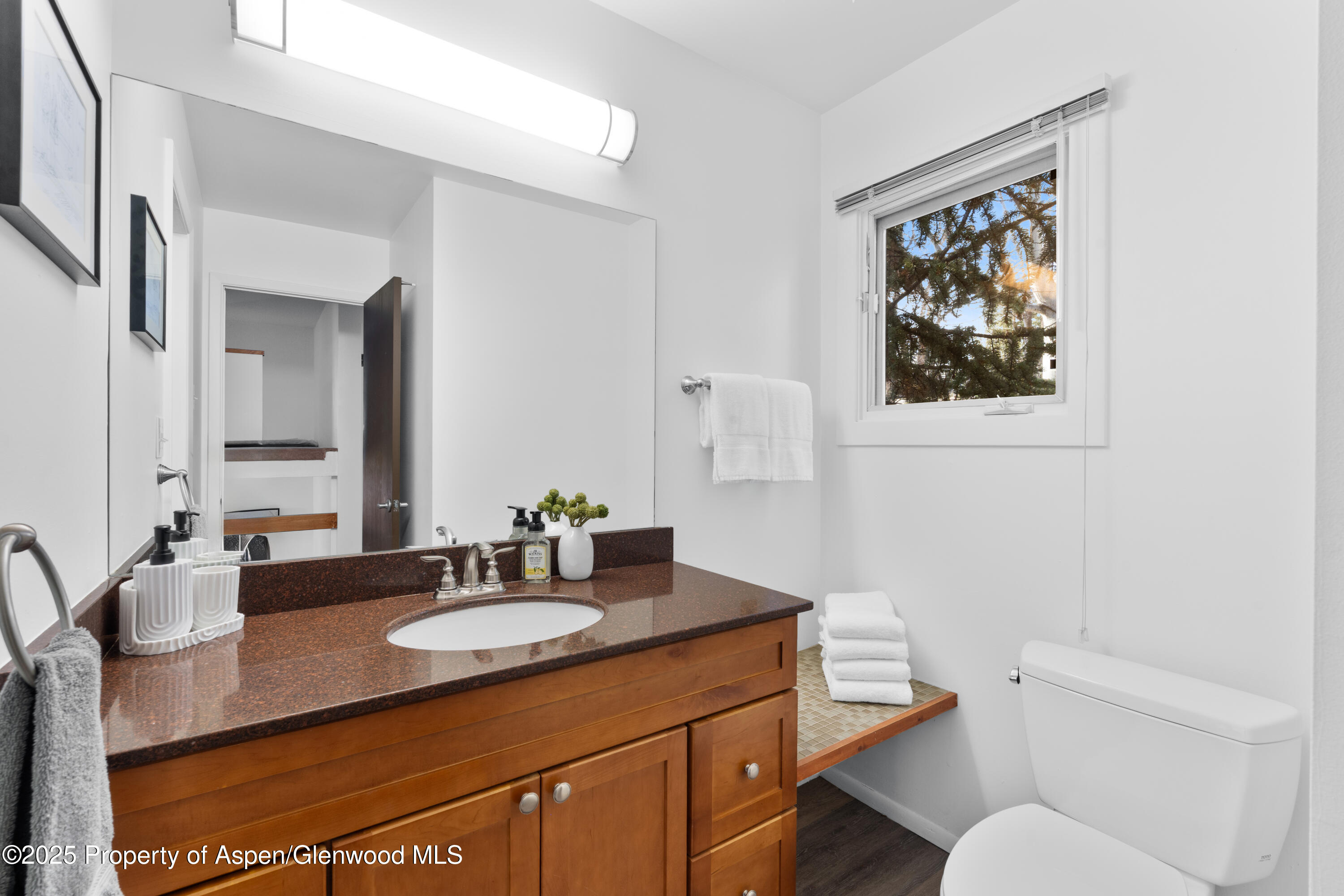 814 W Bleeker Street Aspen CO 81611