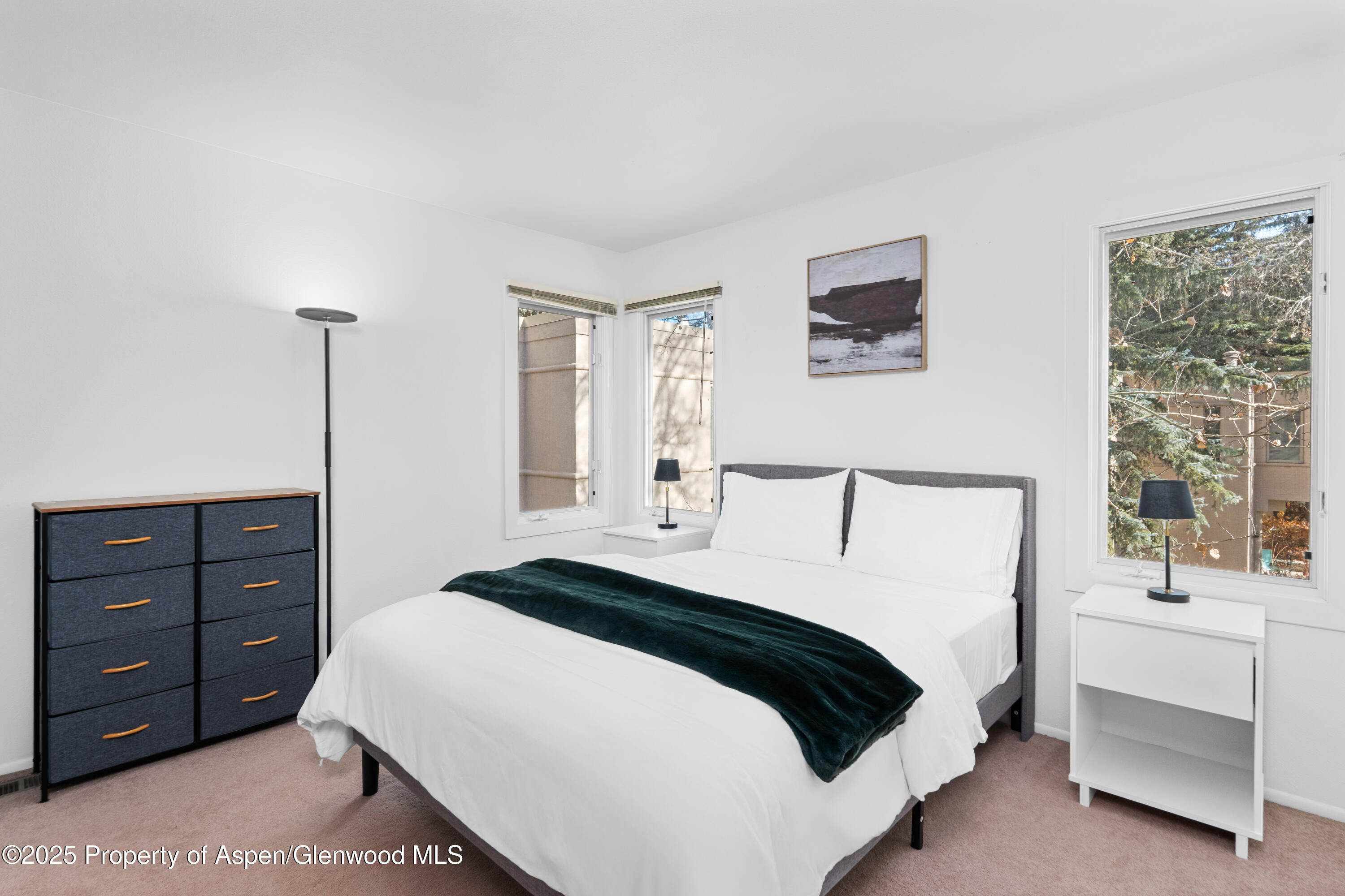 814 W Bleeker Street Aspen CO 81611