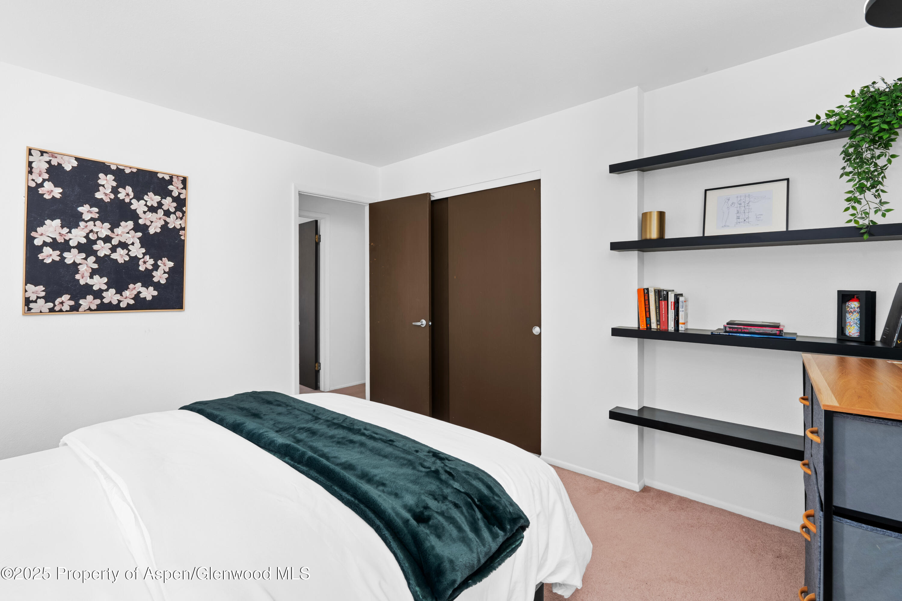 814 W Bleeker Street Aspen CO 81611