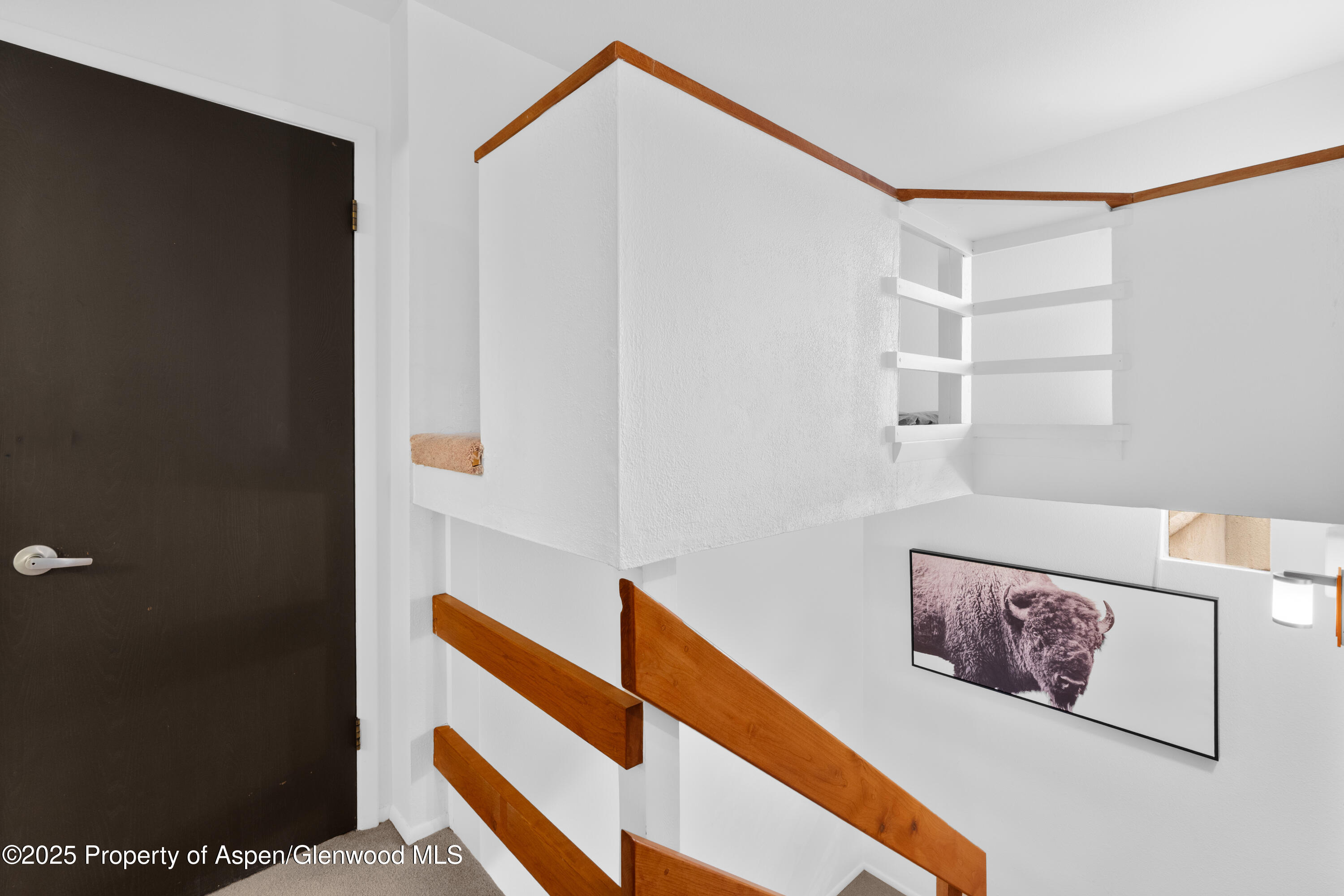 814 W Bleeker Street Aspen CO 81611