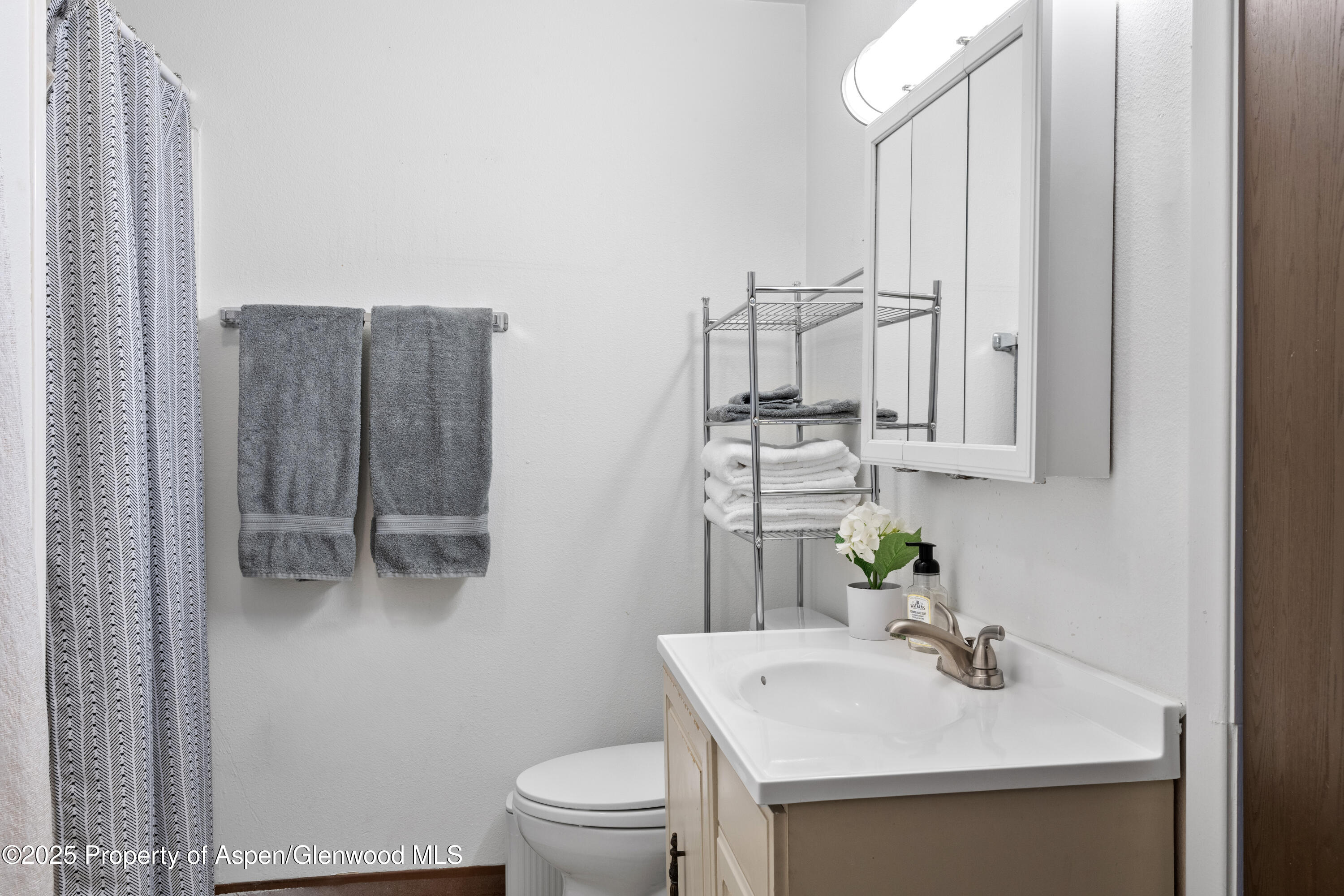 814 W Bleeker Street Aspen CO 81611