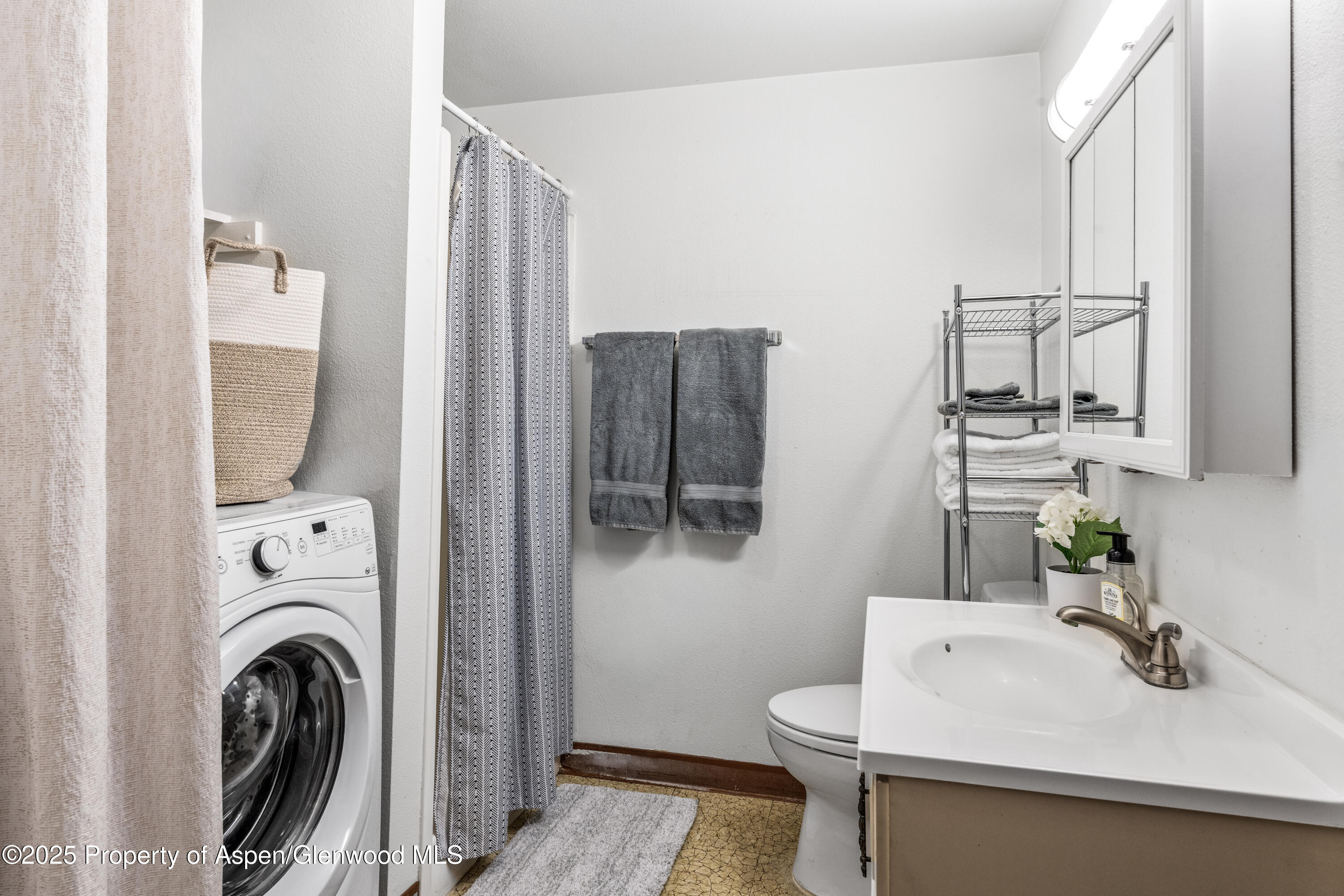 814 W Bleeker Street Aspen CO 81611