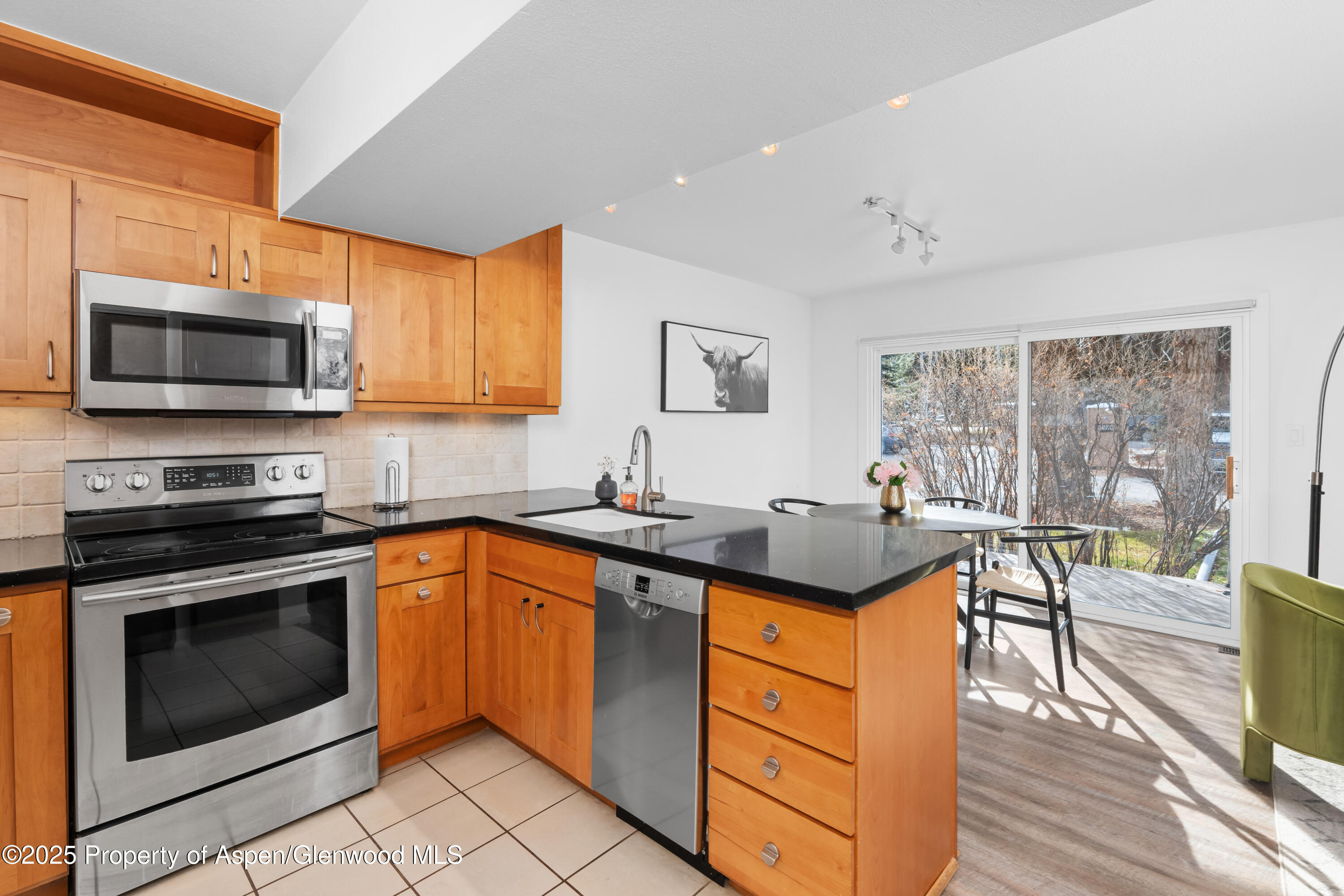 814 W Bleeker Street Aspen CO 81611