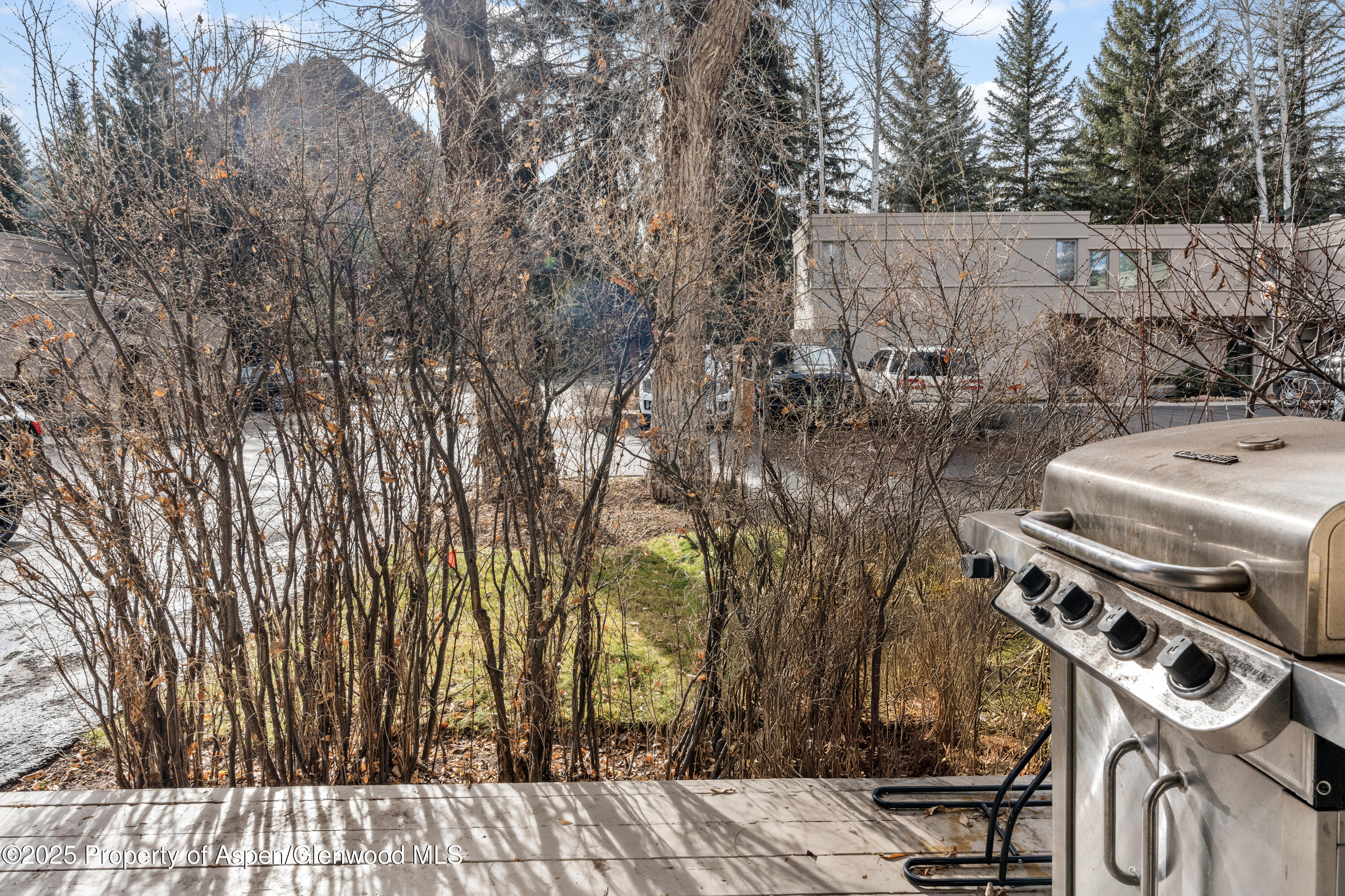 814 W Bleeker Street Aspen CO 81611