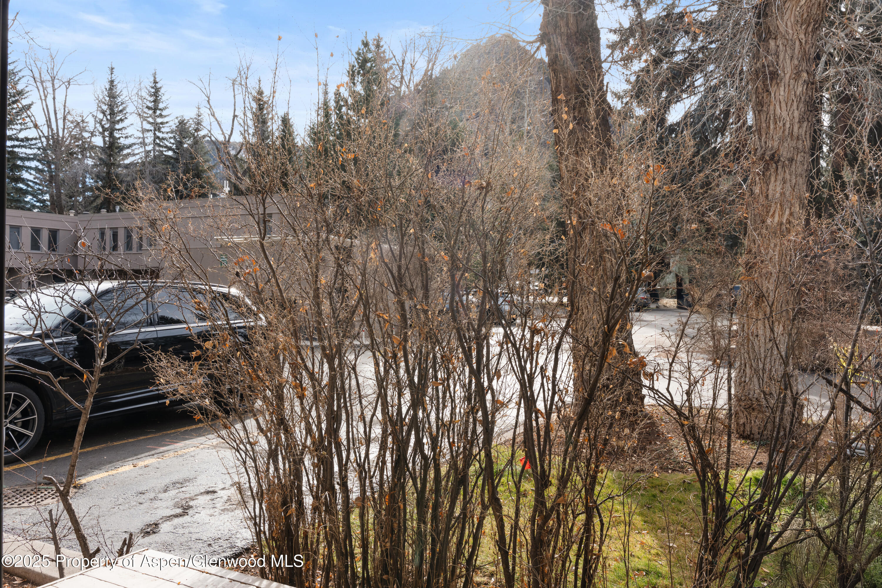 814 W Bleeker Street Aspen CO 81611