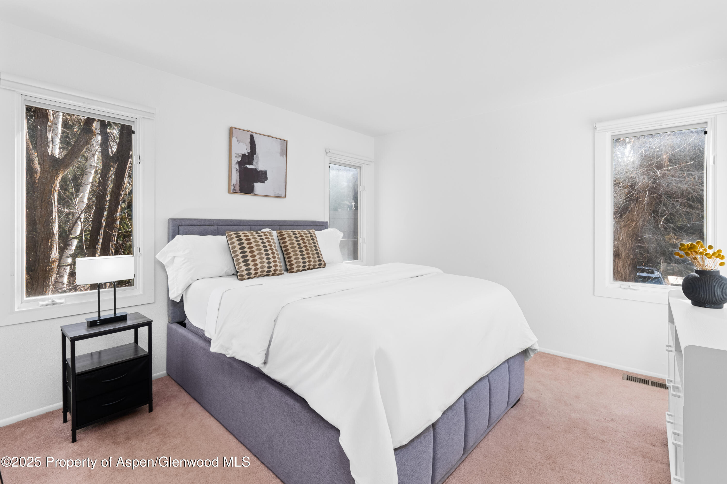 814 W Bleeker Street Aspen CO 81611