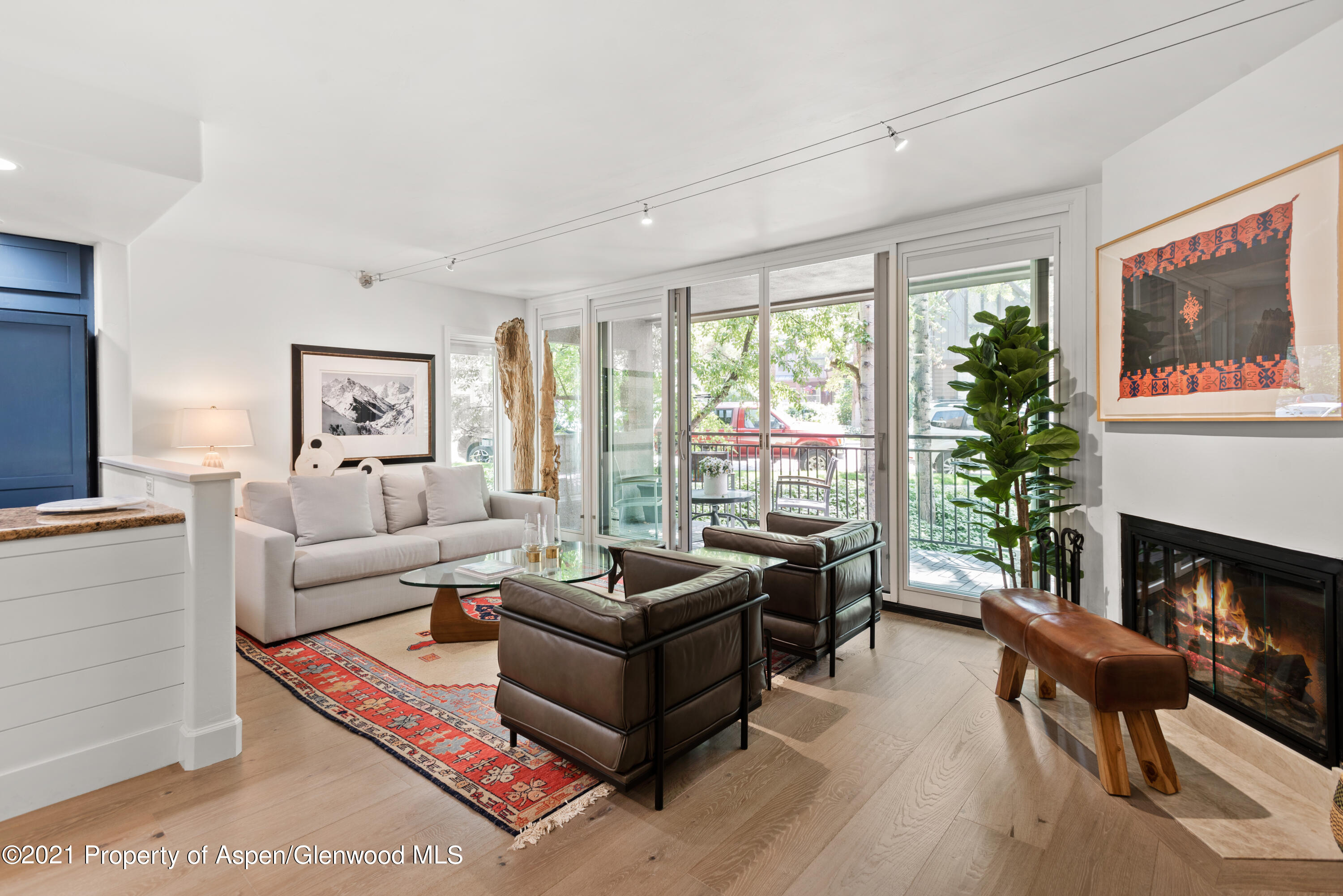 800 E Hopkins Avenue Aspen CO 81611