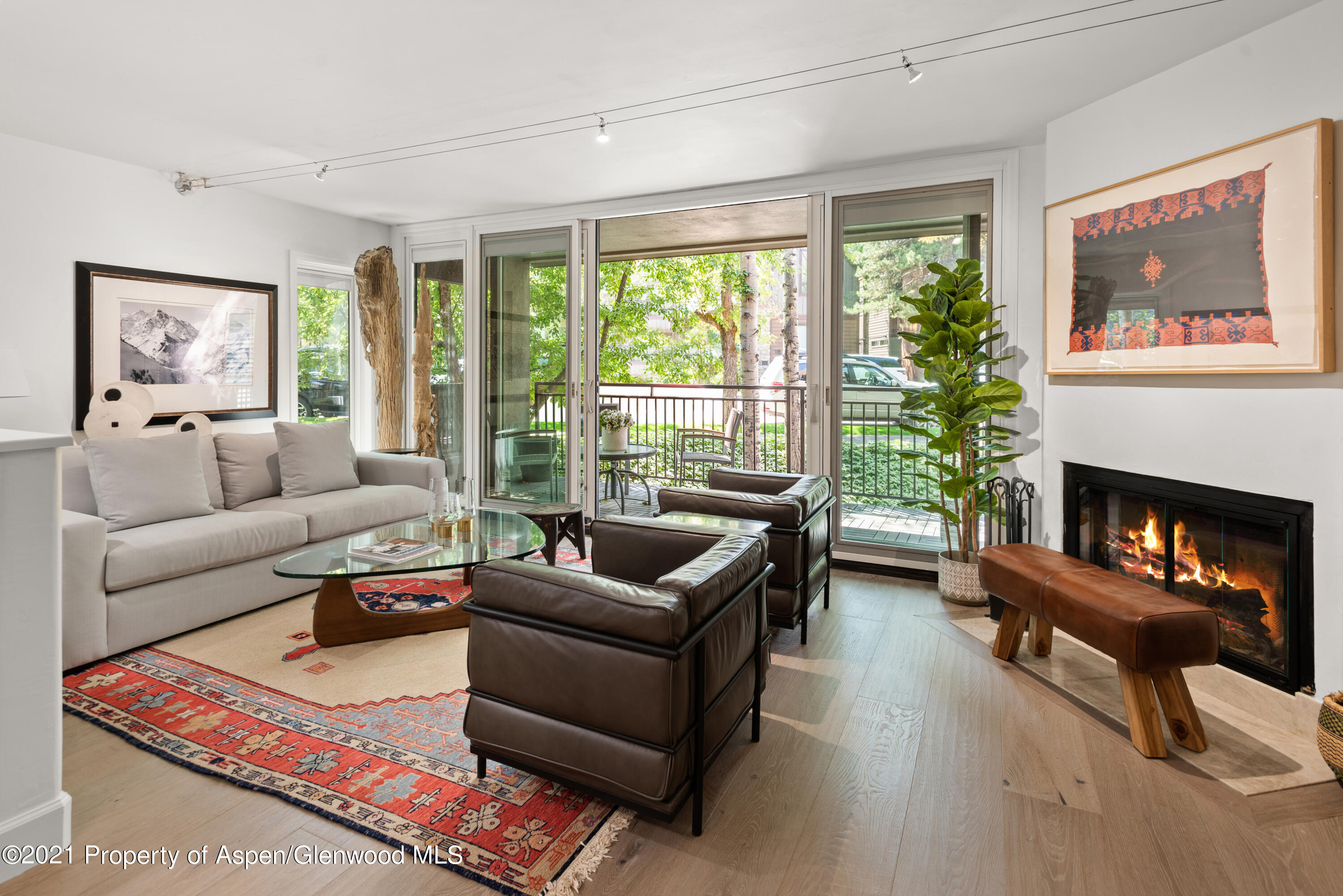 800 E Hopkins Avenue Aspen CO 81611