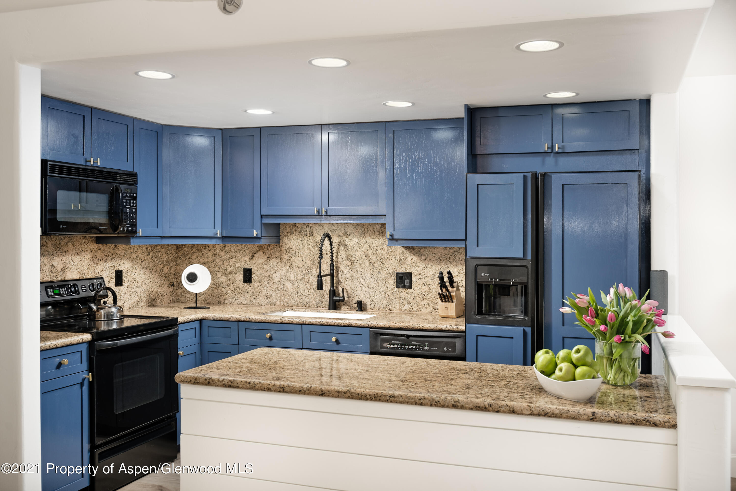 800 E Hopkins Avenue Aspen CO 81611