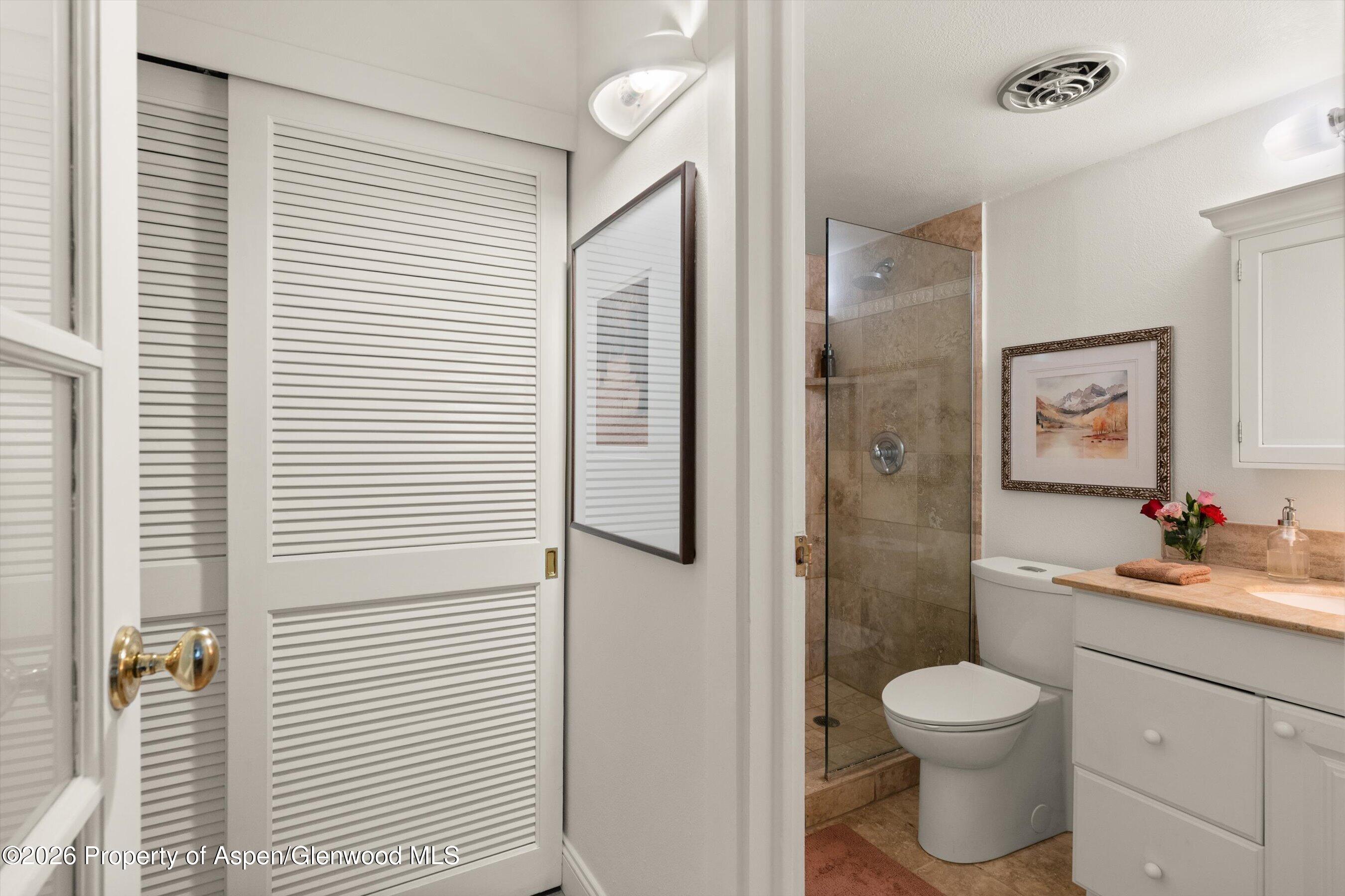 412 Vine Street Aspen CO 81611