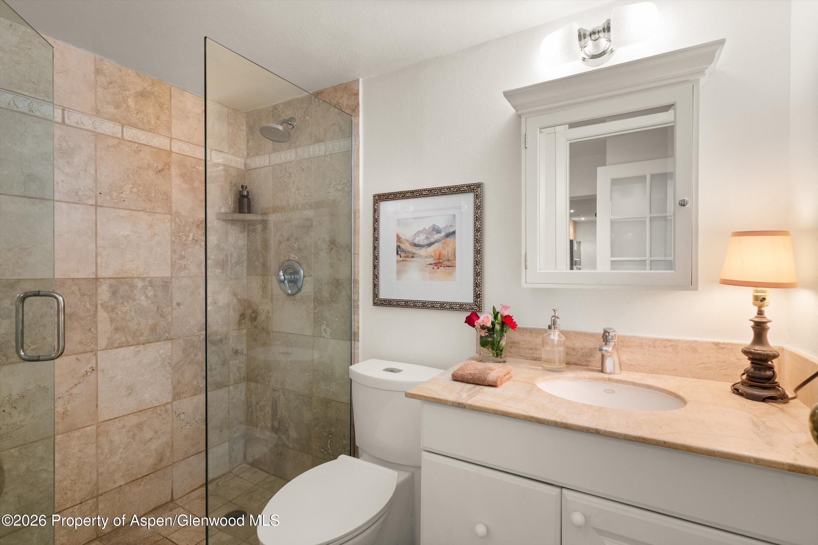 412 Vine Street Aspen CO 81611