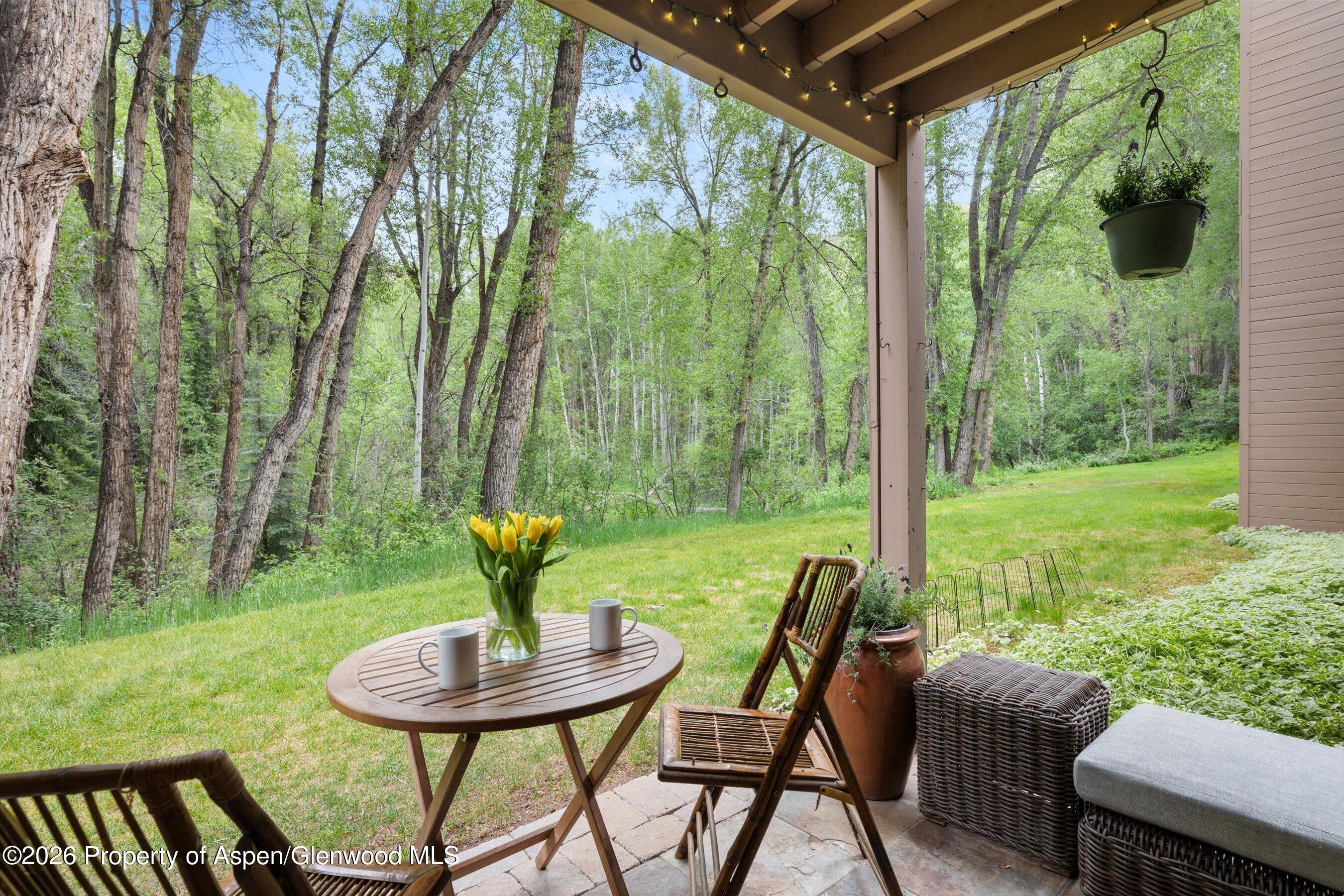 412 Vine Street Aspen CO 81611