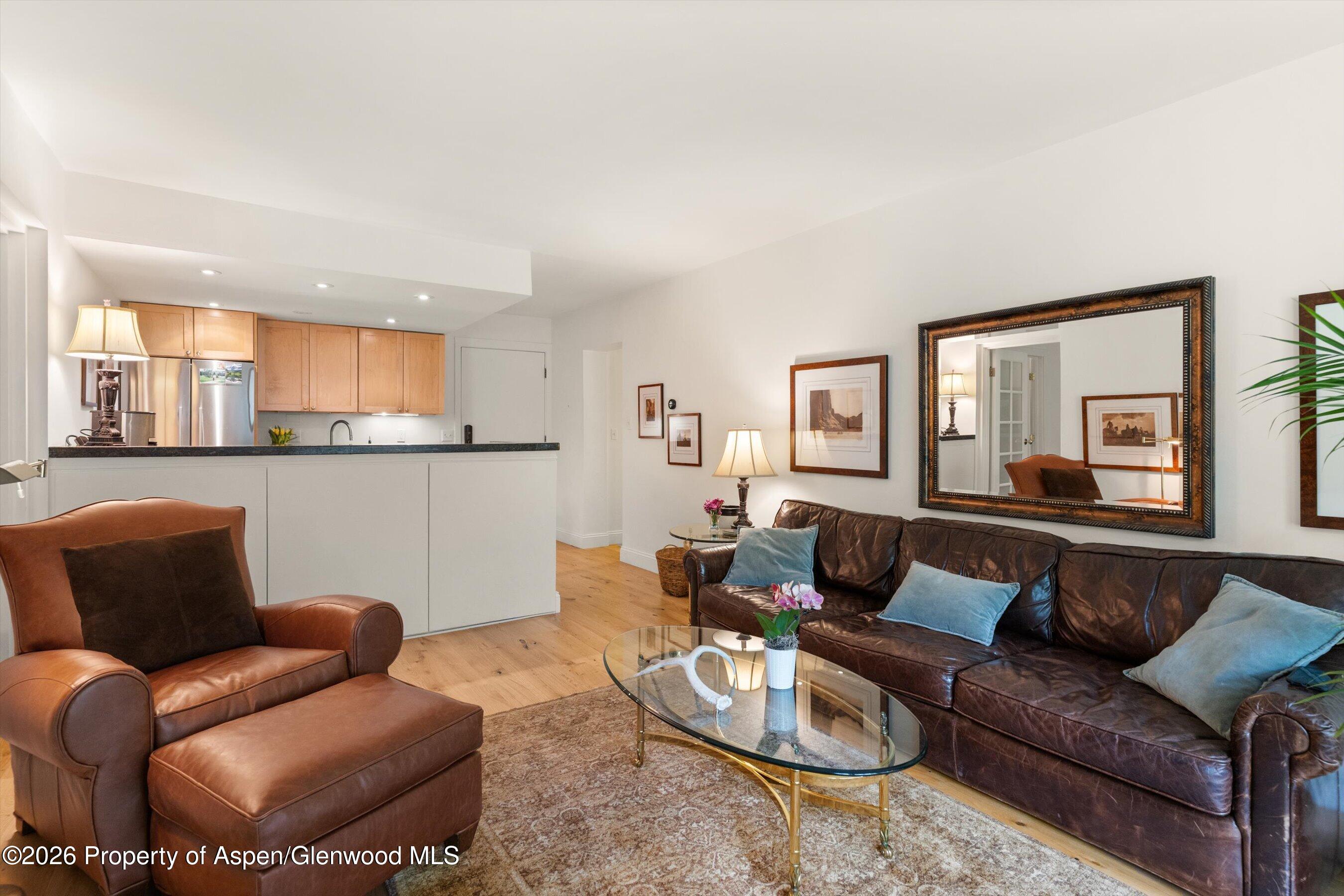 412 Vine Street Aspen CO 81611