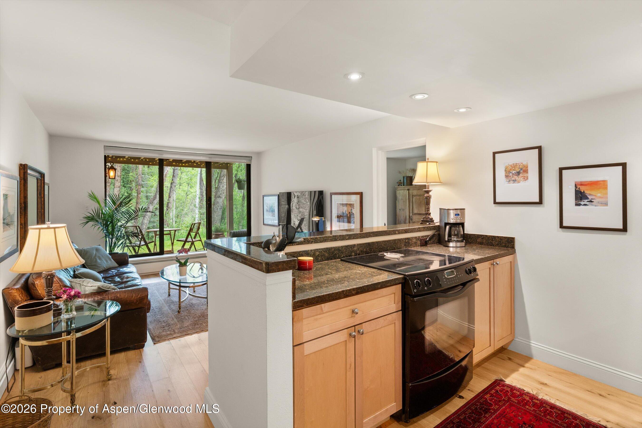 412 Vine Street Aspen CO 81611