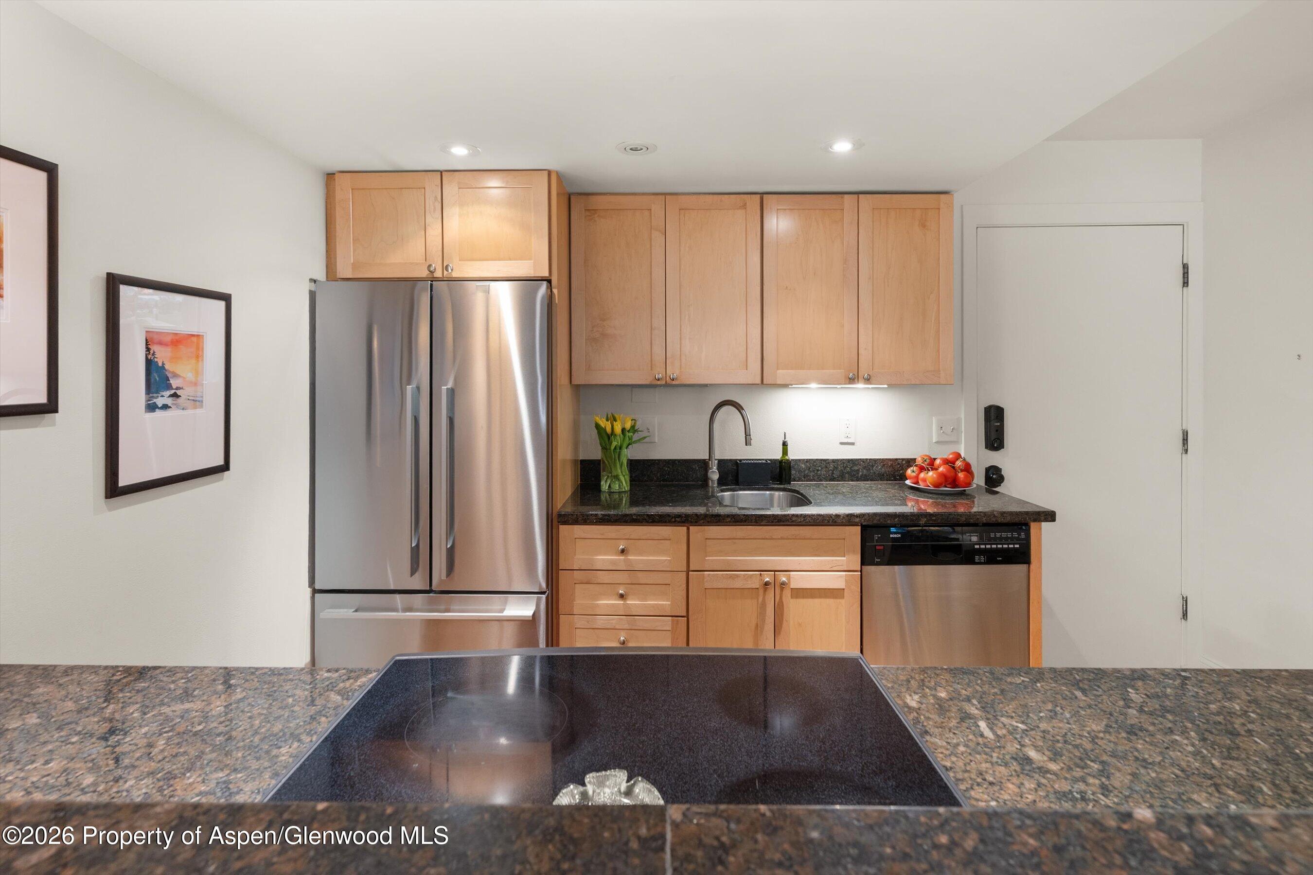 412 Vine Street Aspen CO 81611