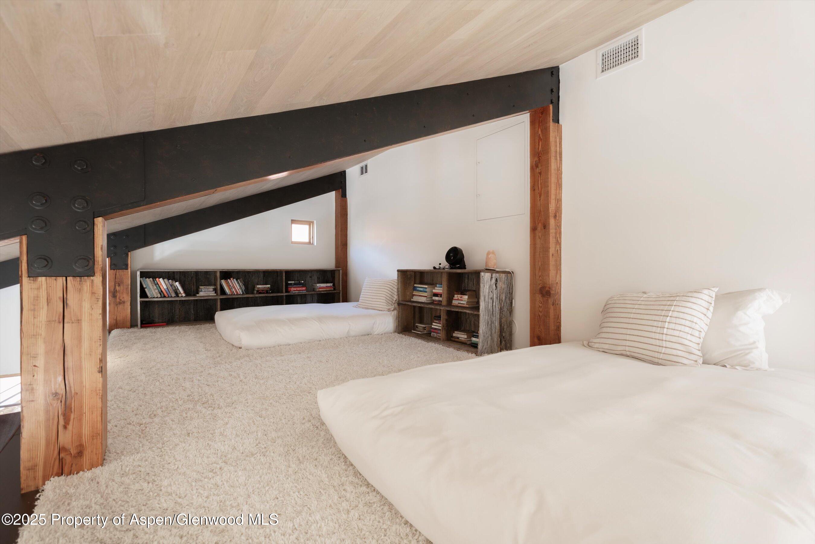 6770 Castle Creek Road Aspen CO 81611