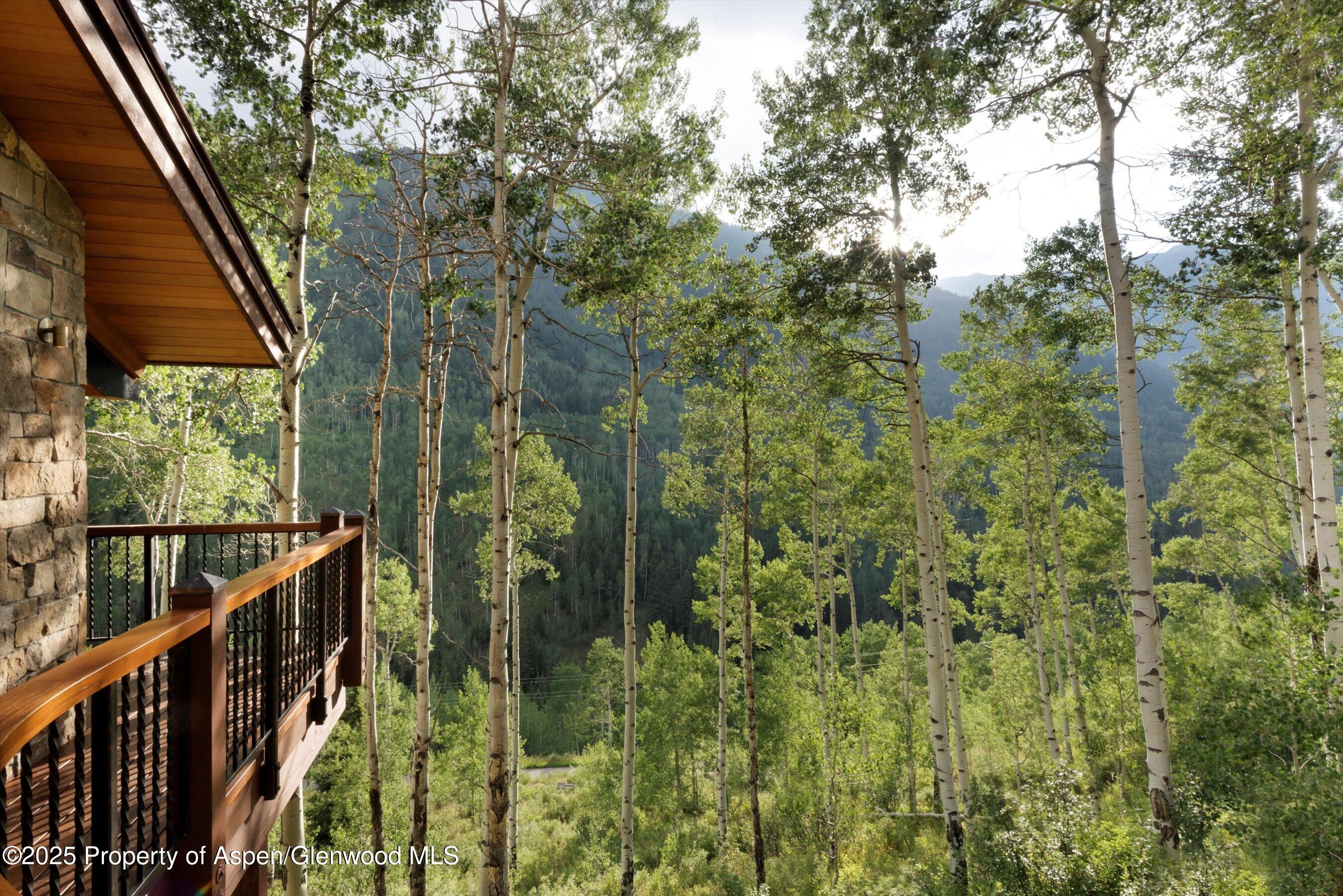 6770 Castle Creek Road Aspen CO 81611