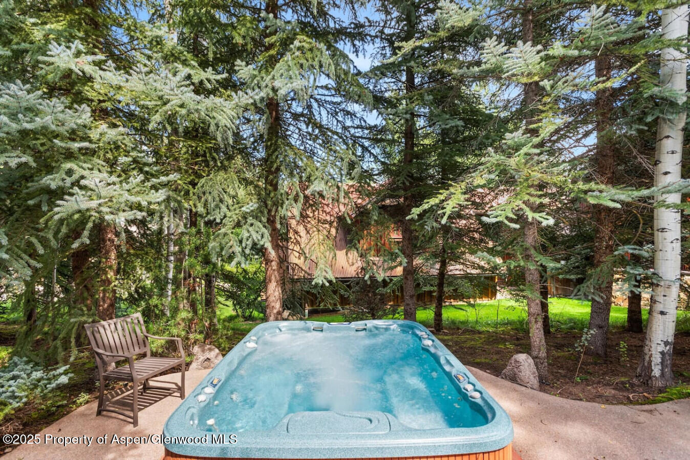 27 Timber Ridge Lane Snowmass Village CO 81615