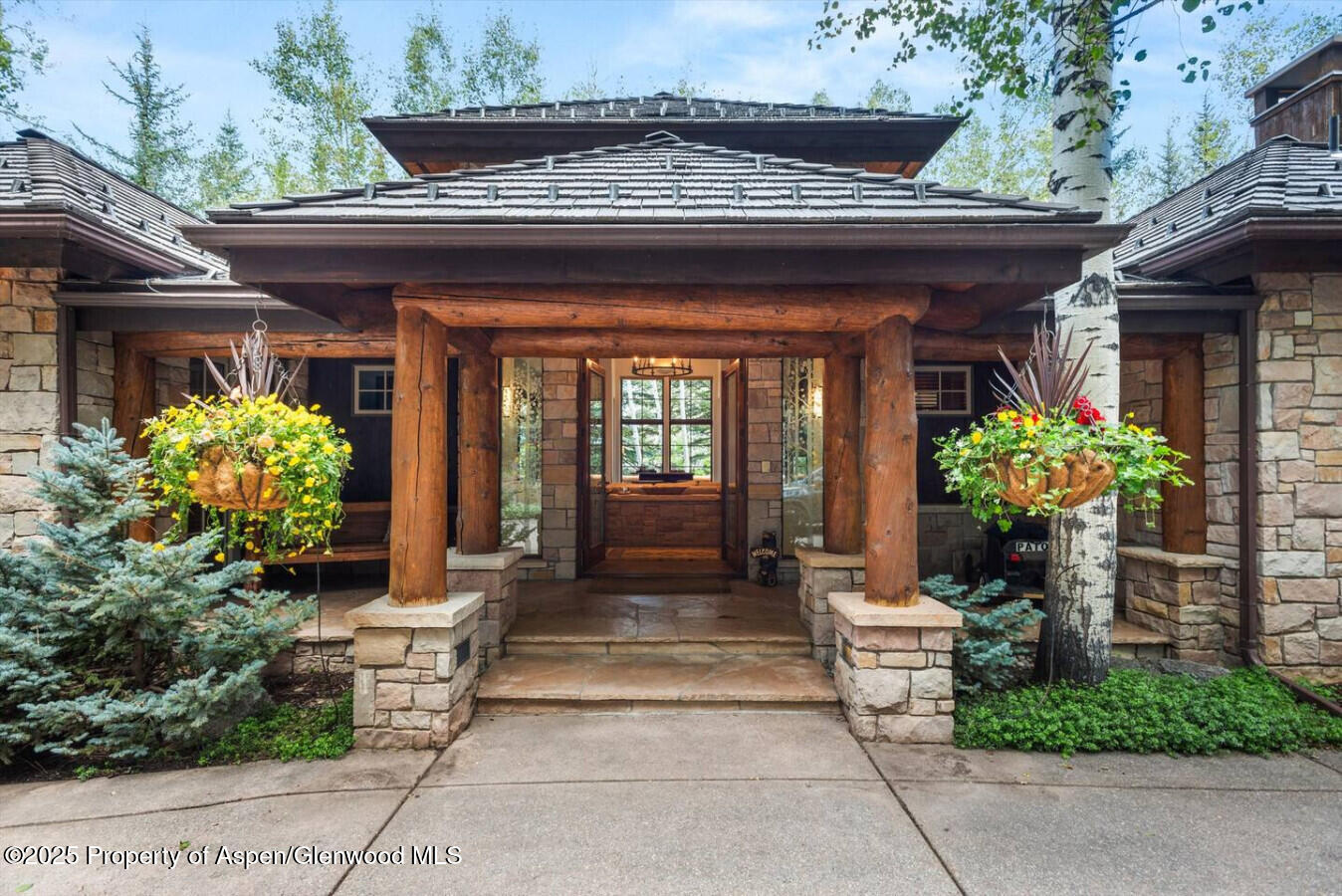 27 Timber Ridge Lane Snowmass Village CO 81615