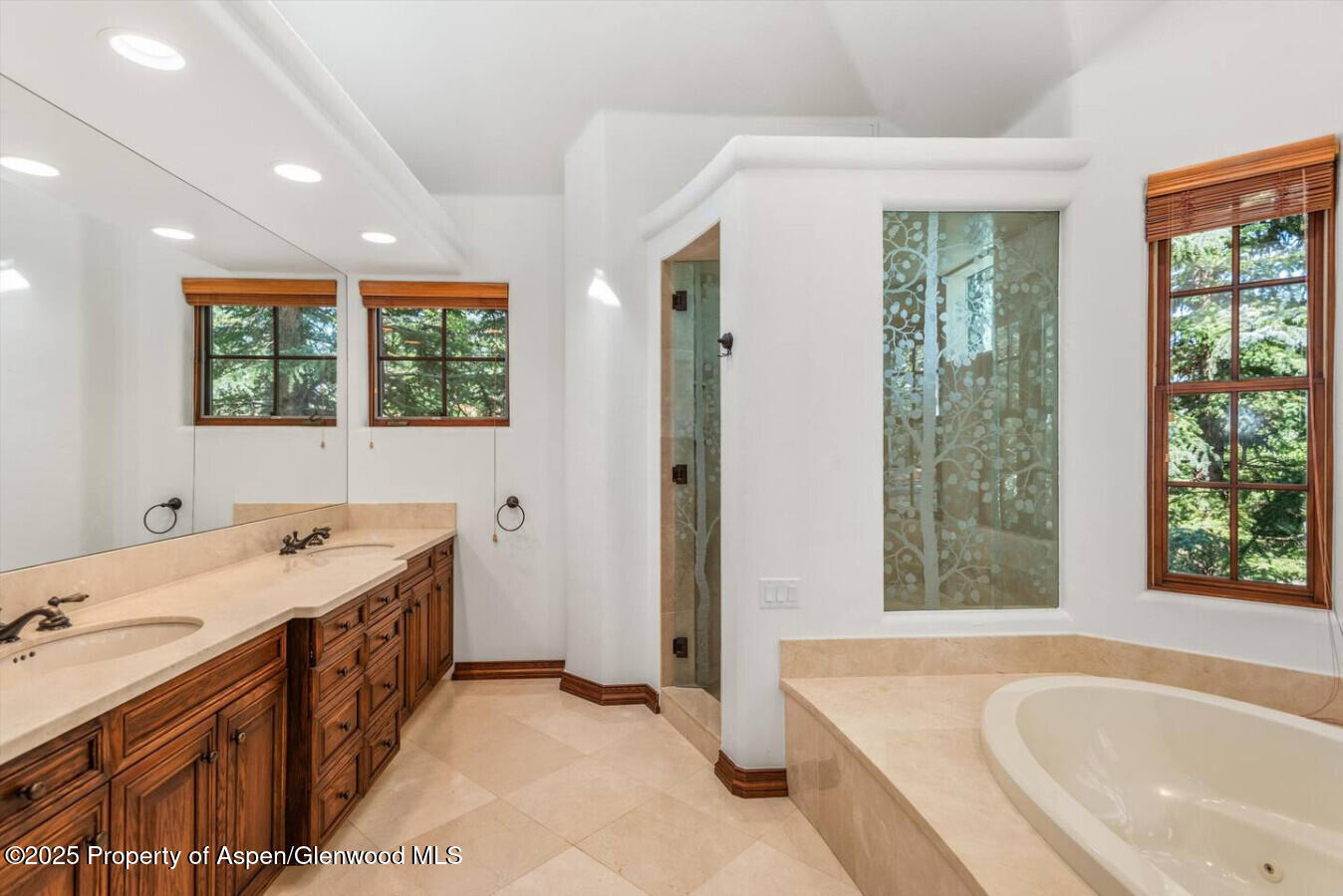 27 Timber Ridge Lane Snowmass Village CO 81615