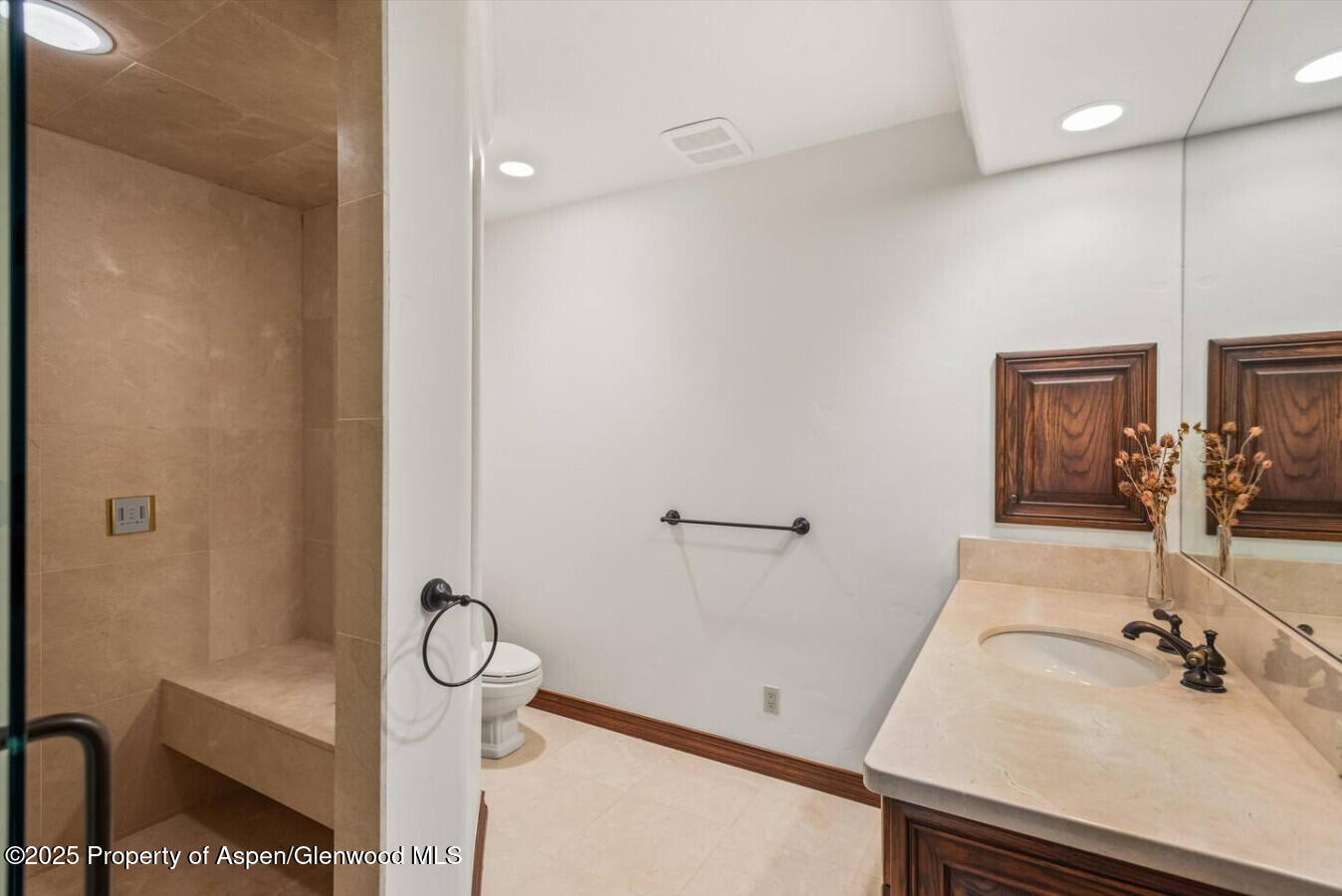 27 Timber Ridge Lane Snowmass Village CO 81615