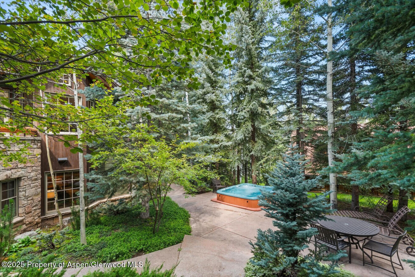 27 Timber Ridge Lane Snowmass Village CO 81615