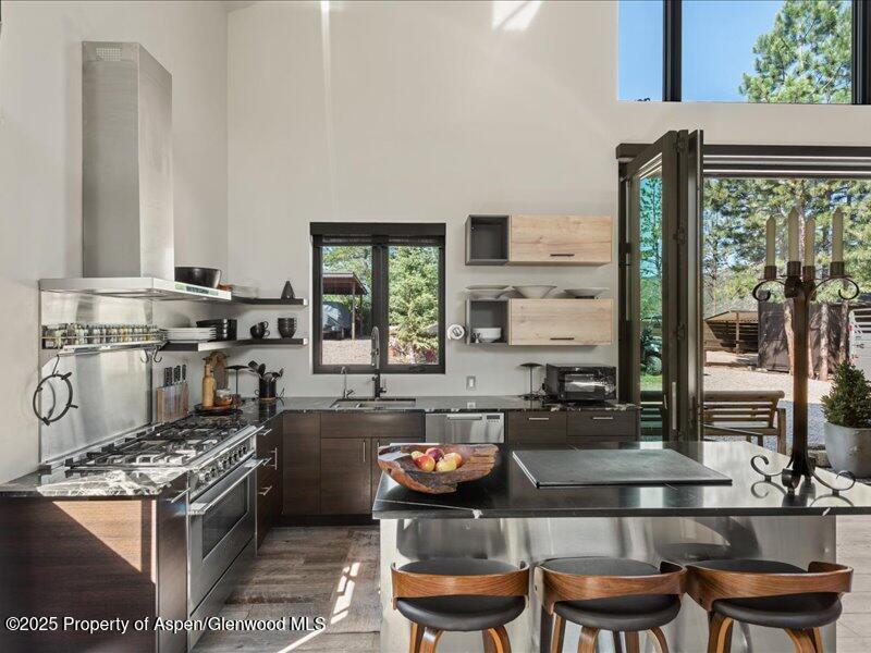 26 Bunker Loop Aspen CO 81611