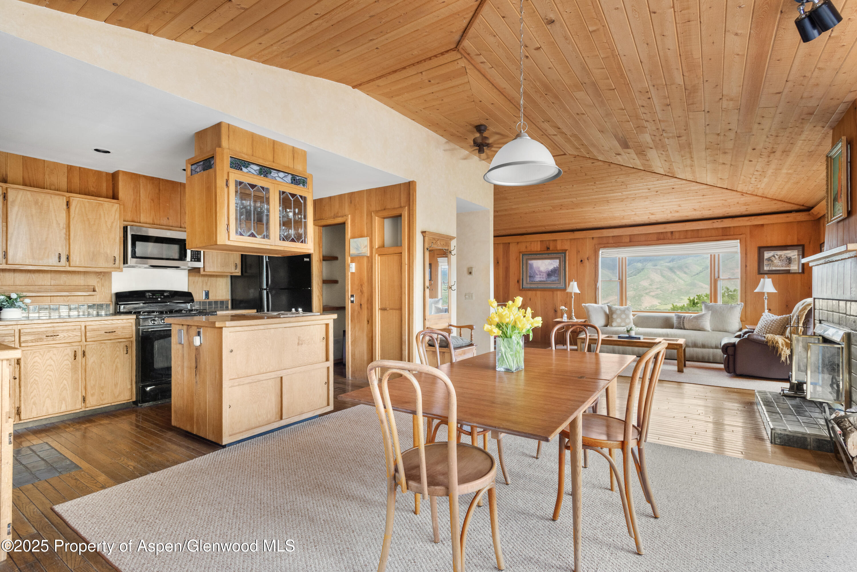 2020 Juniper Hill Drive Aspen CO 81611