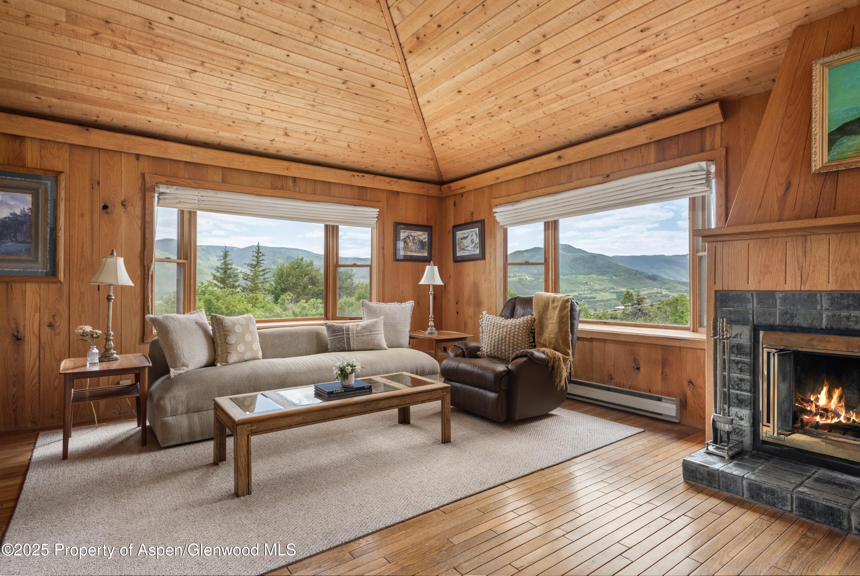 2020 Juniper Hill Drive Aspen CO 81611