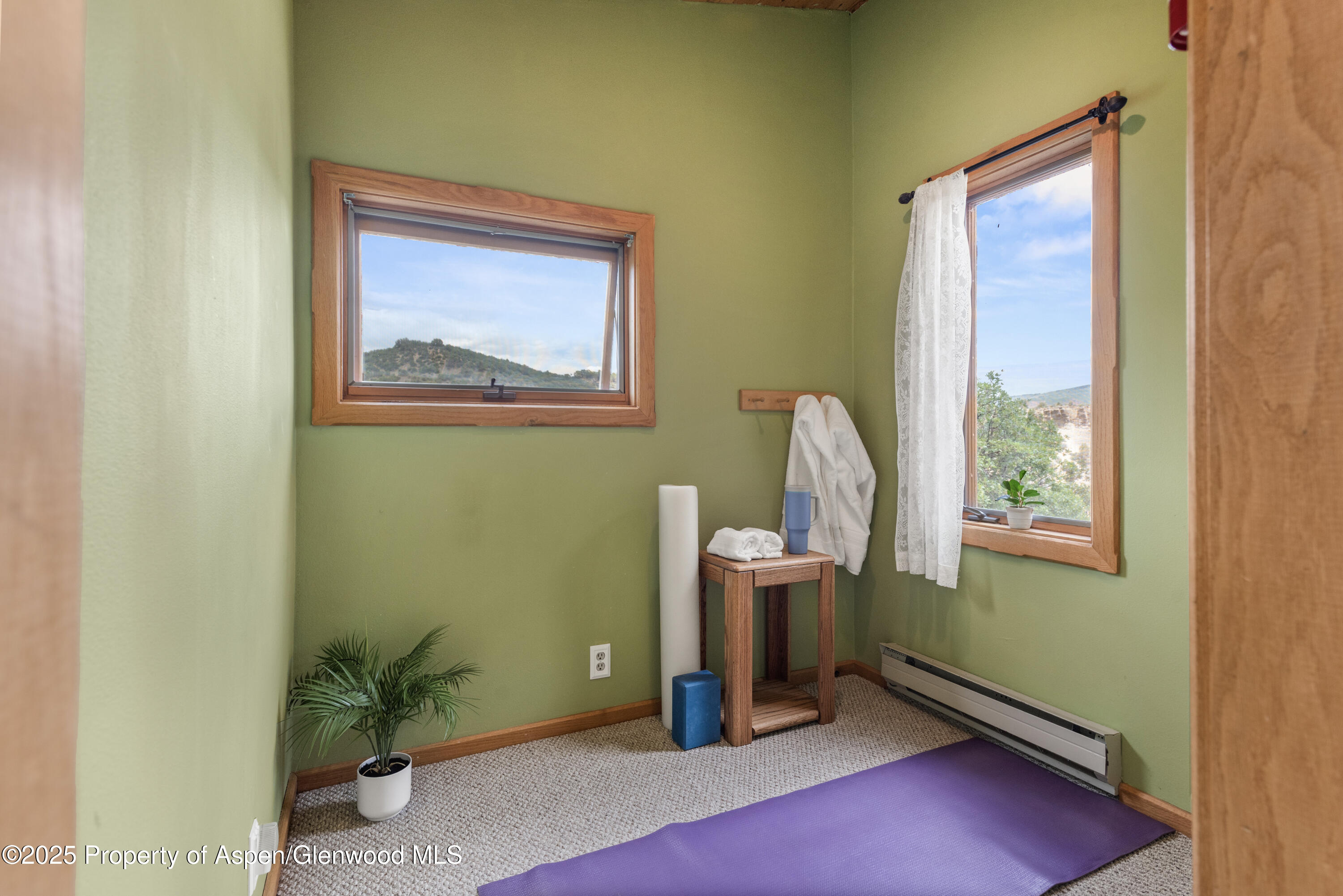 2020 Juniper Hill Drive Aspen CO 81611