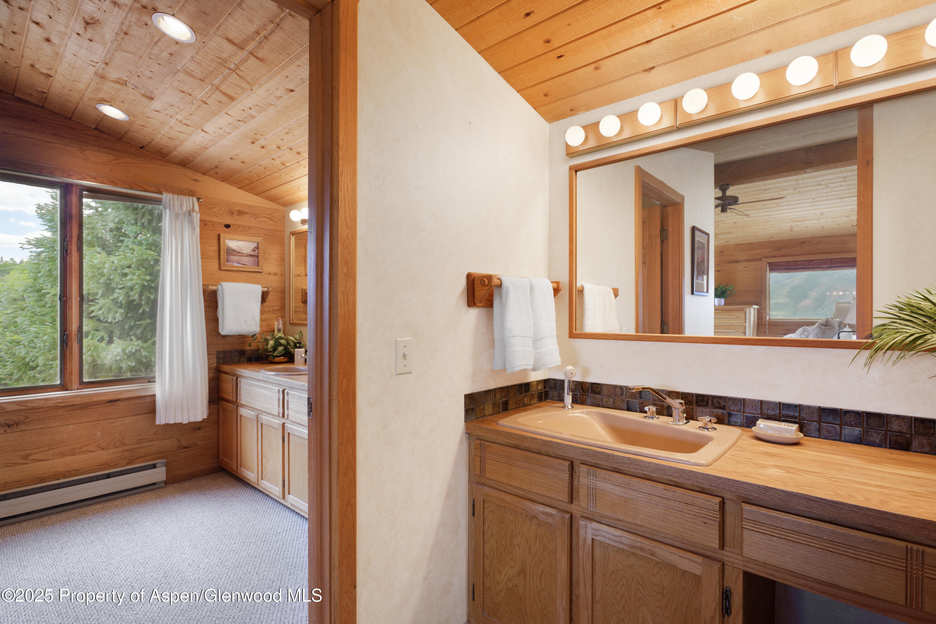 2020 Juniper Hill Drive Aspen CO 81611
