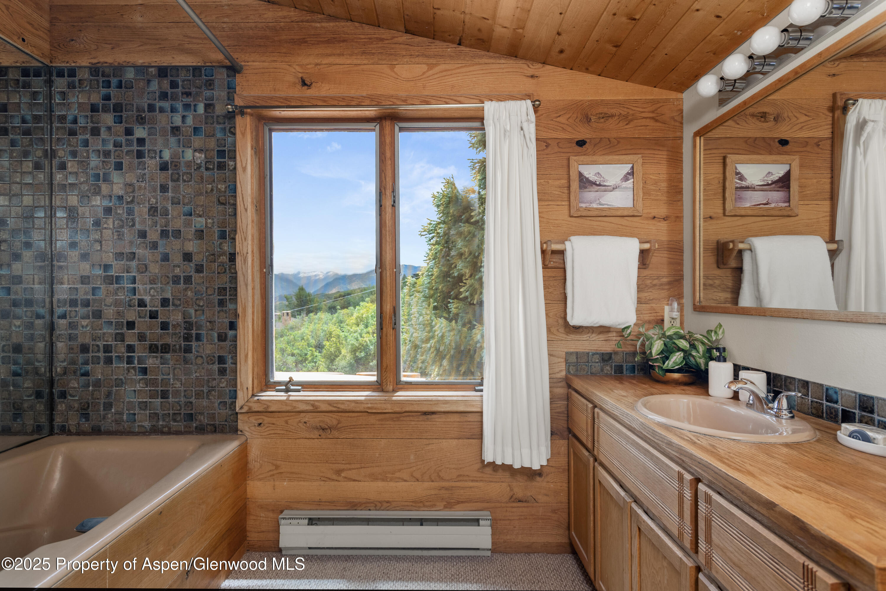 2020 Juniper Hill Drive Aspen CO 81611