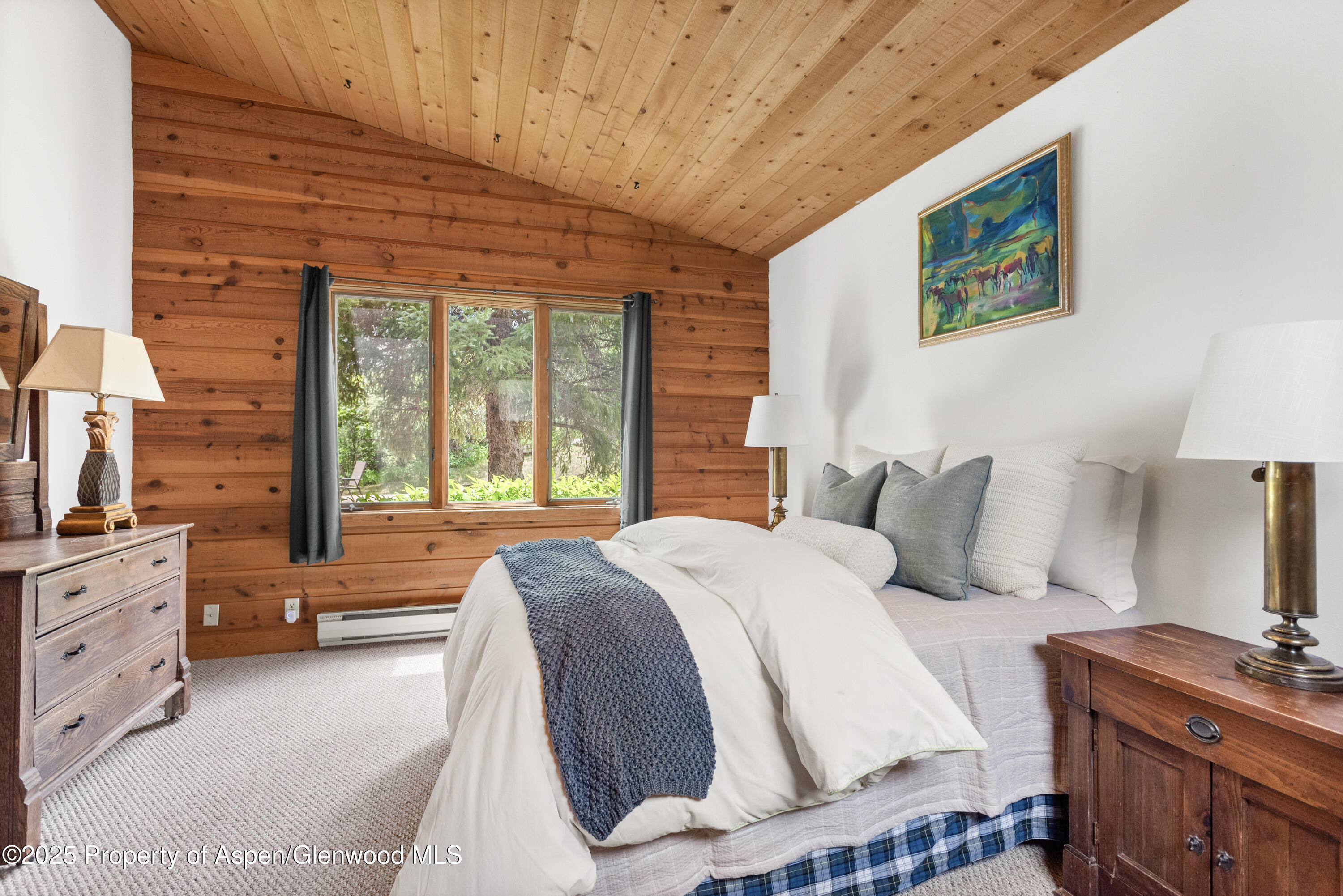 2020 Juniper Hill Drive Aspen CO 81611