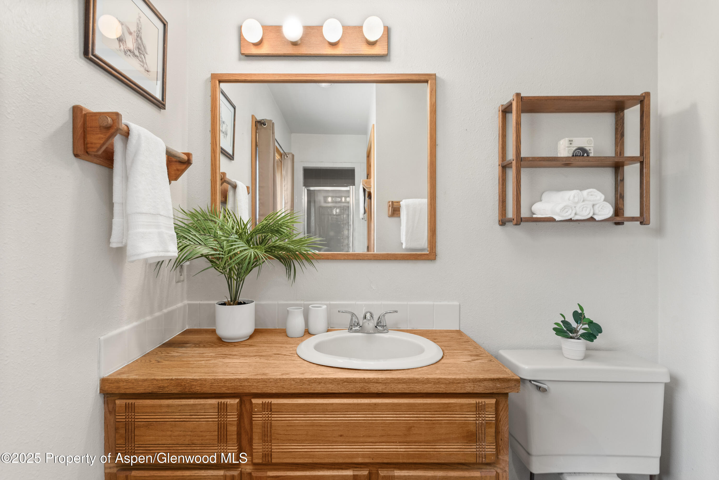 2020 Juniper Hill Drive Aspen CO 81611